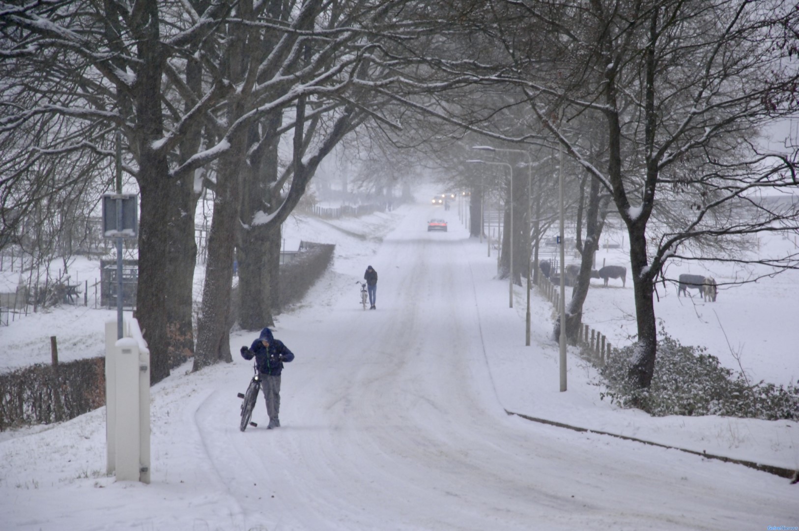Code Geel Voor Groot Deel Nederland Om Sneeuwval Brabant