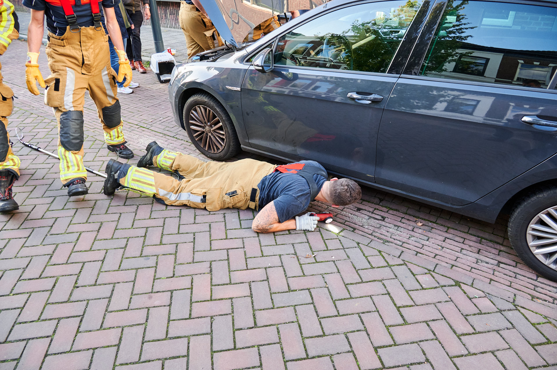 Brandweer Druk Bezig Met Kat Onder Motorkap 112Brabant