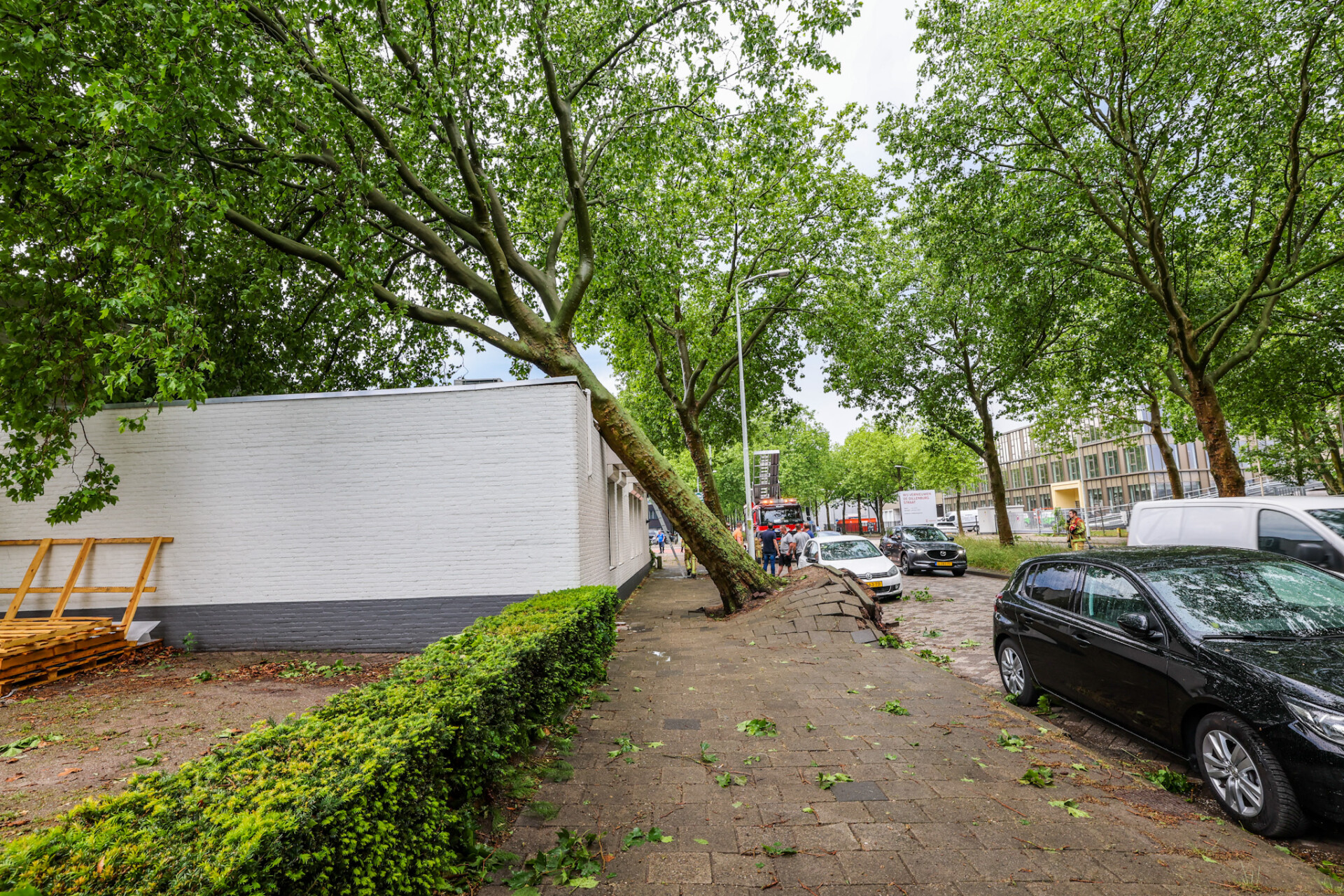Boom valt op pand tijdens noodweer in Eindhoven