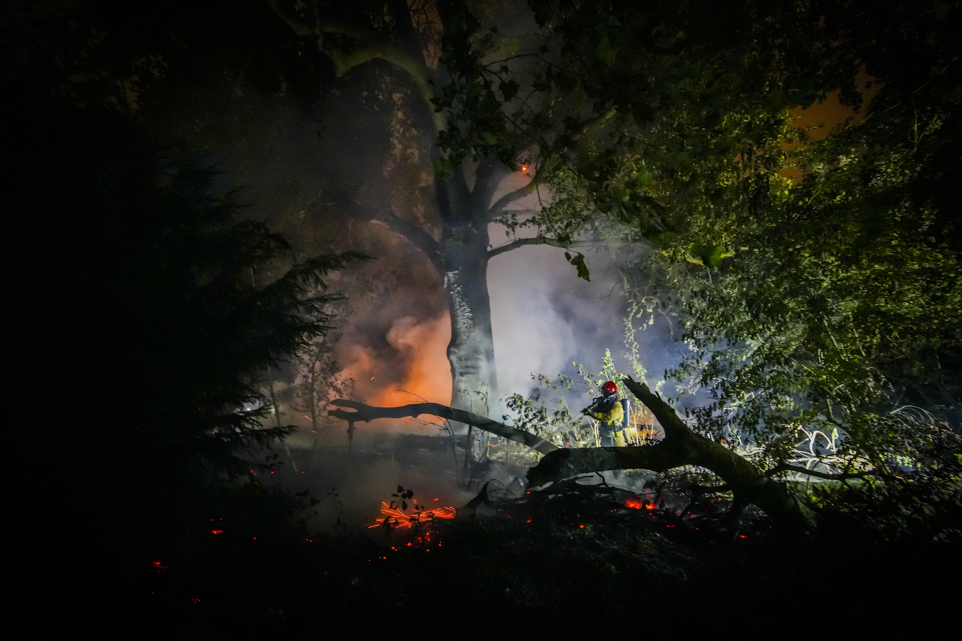 Monumentale wereldboom afgebrand