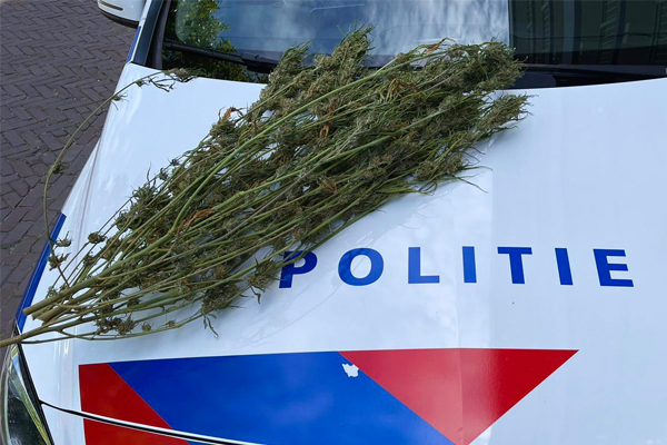 Hennepkwekerij ontdekt na melding wateroverlast in flat Uden