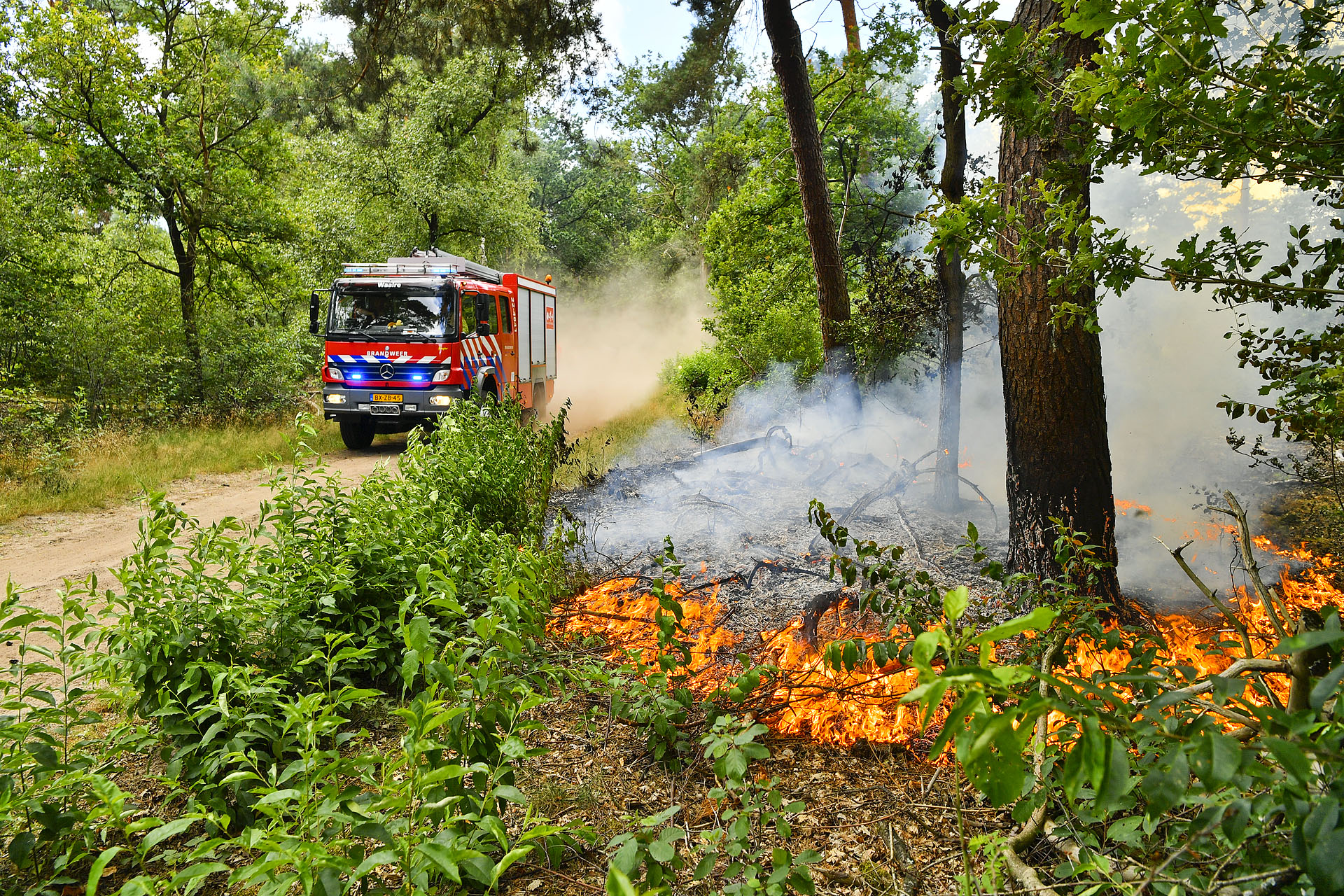 Brandstichting in het bos bij Riethoven, fles lampolie aangetroffen