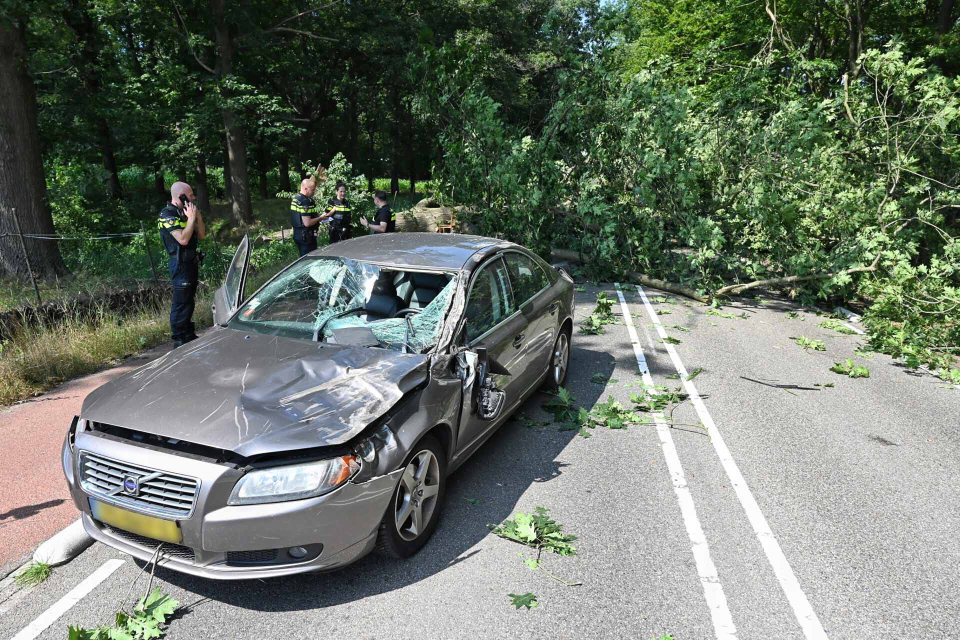Vrouw (91) van de dood ontsnapt nadat boom omvalt