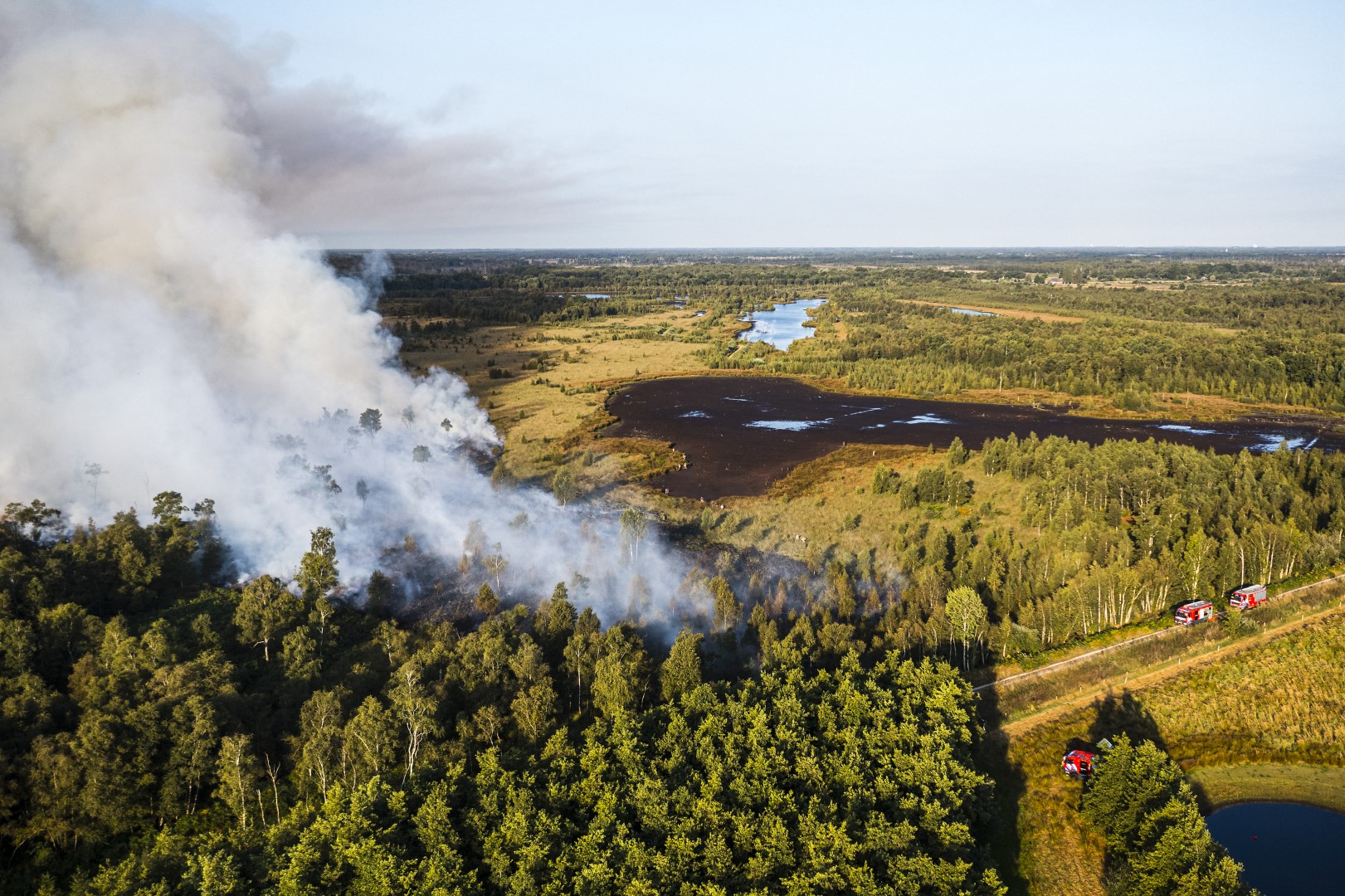 Branden in bosgebied bij Deurne vermoedelijk aangestoken