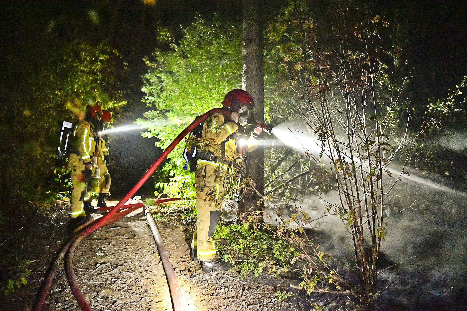 Nachtelijke bosbrand in Valkenswaard