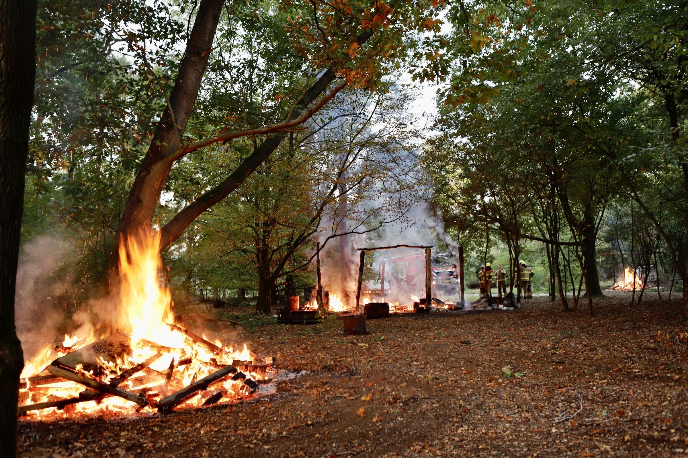 Branden in het bos bij Overloon