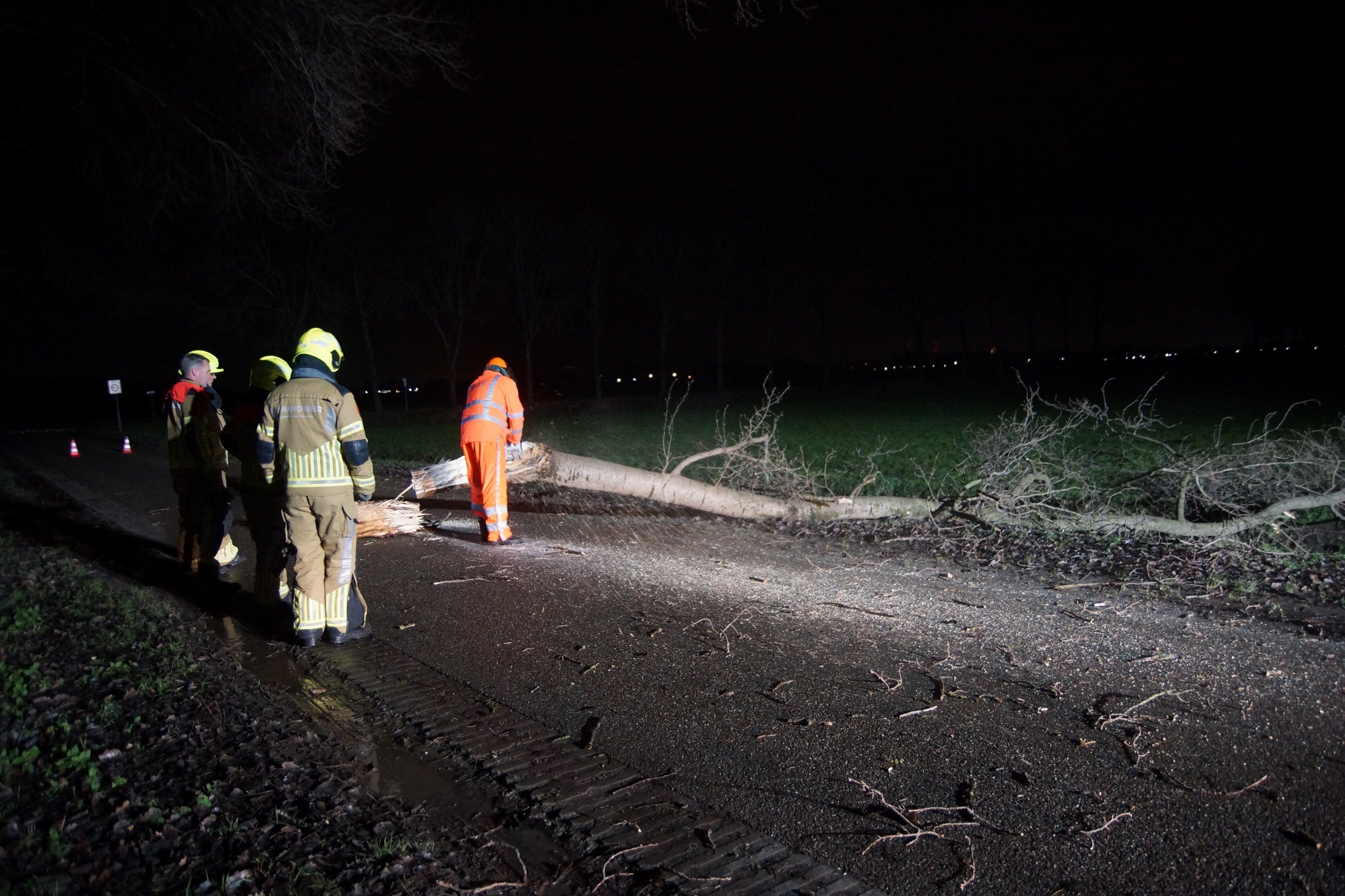 Grote tak breekt los van boom en verspert weg