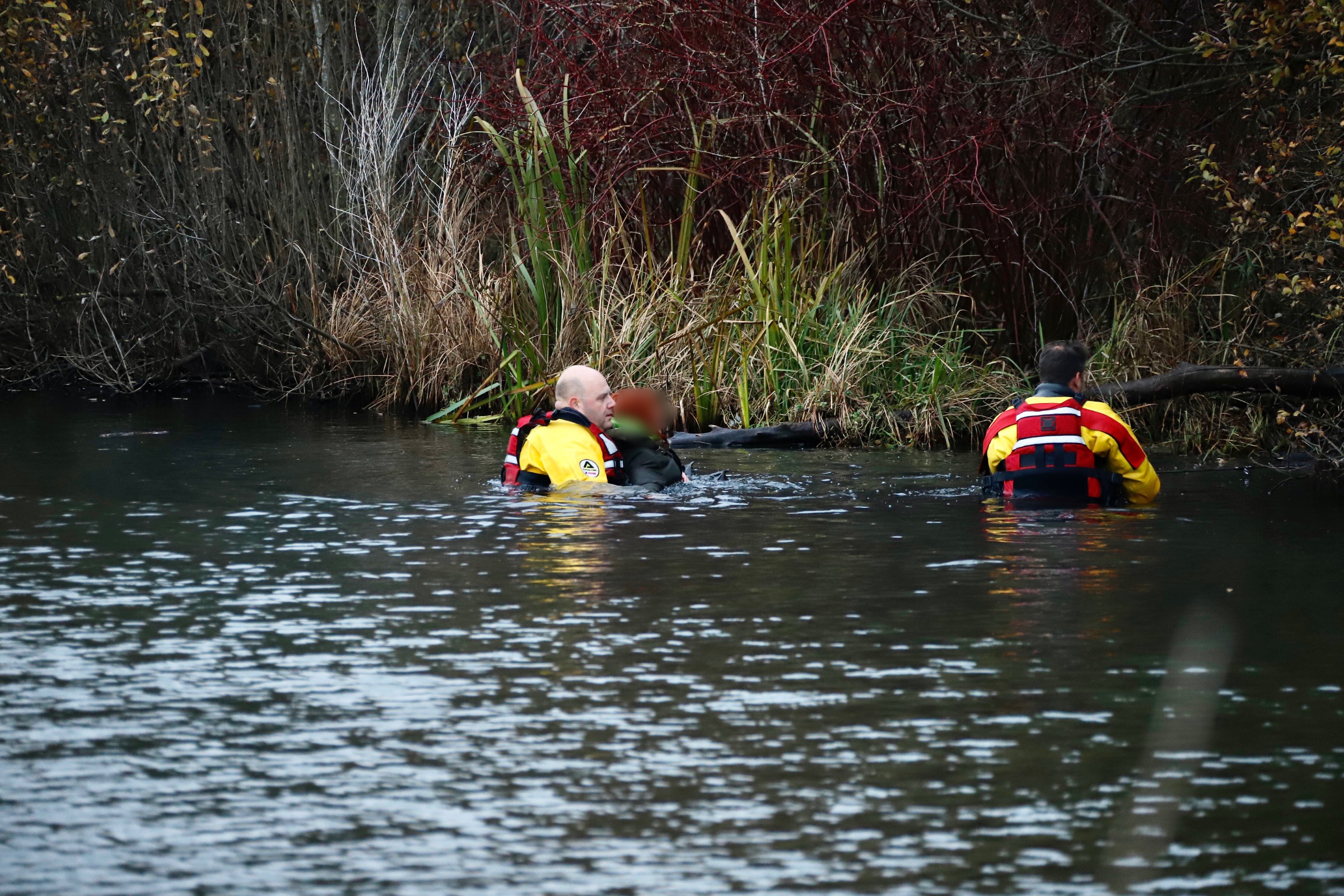 Vrouw gaat jonge hond achterna in het ijskoude water