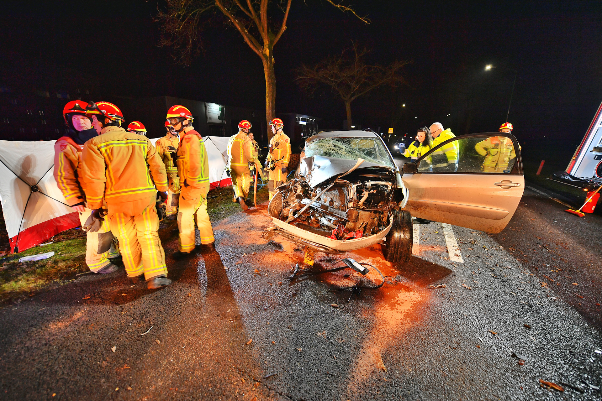 Hond overlijdt bij ernstig ongeluk tegen boom, baasje zwaargewond
