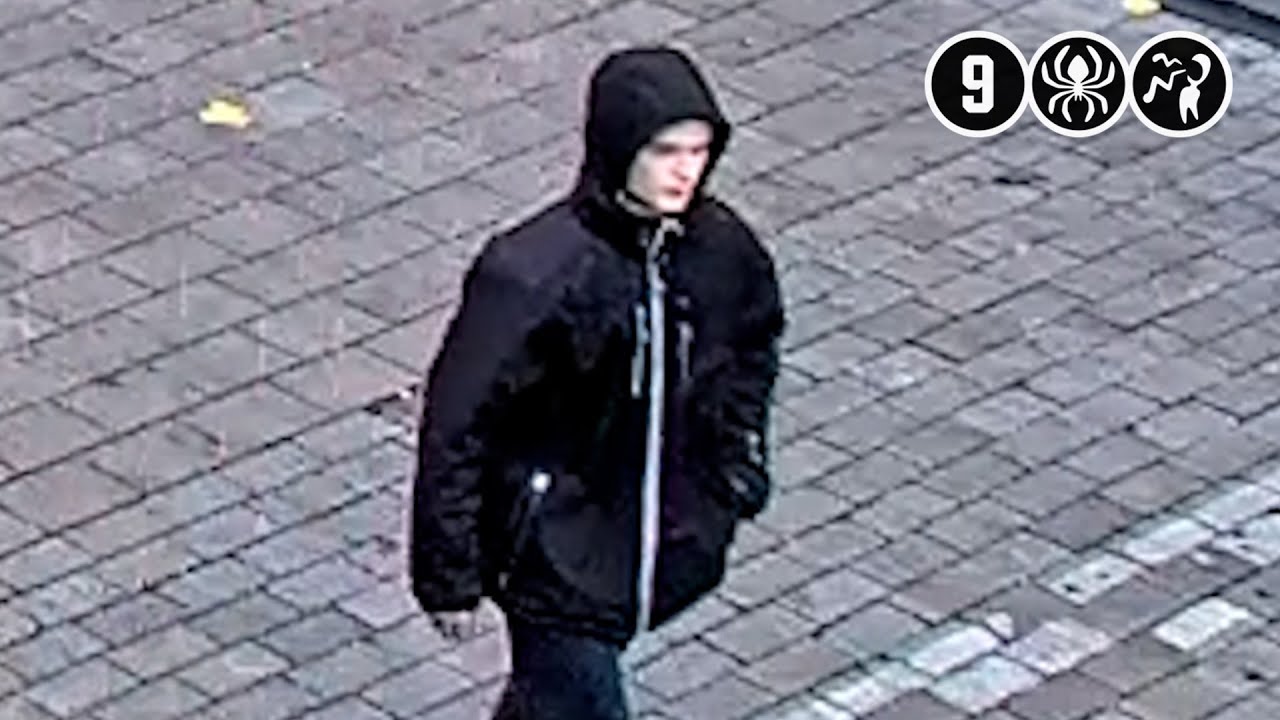 (Video) Jonge straatrover verwondt bejaarde vrouw: politie vraagt herkenning