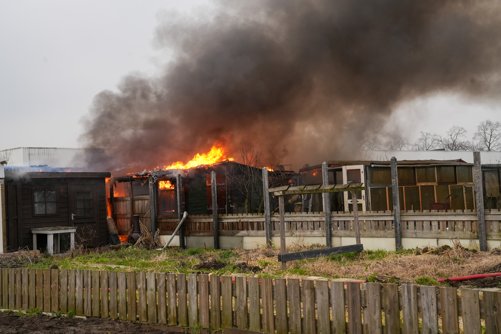 Schuurtjes in volkstuinen gaan in vlammen op