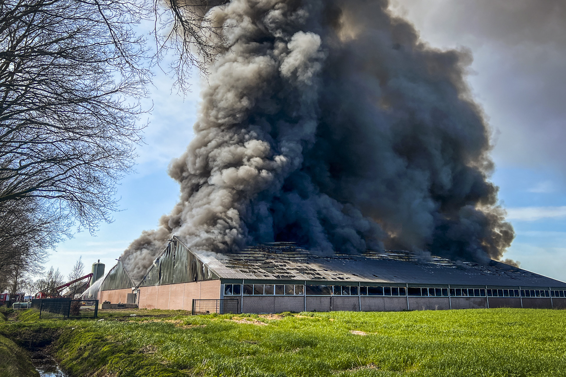 UPDATE: 9000 varkens dood bij zeer grote brand in stal