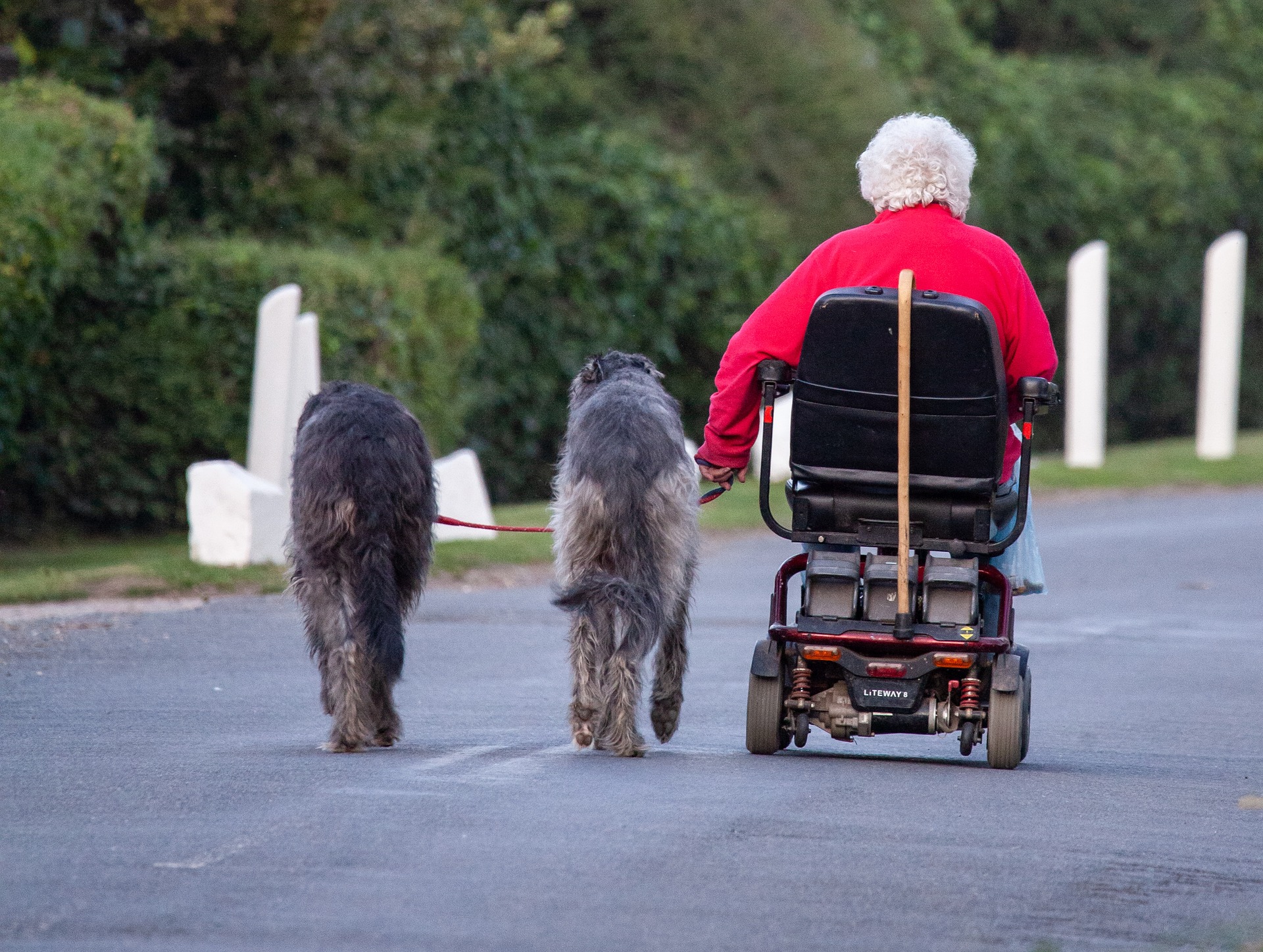 Vrouw in scootmobiel beroofd door twee personen