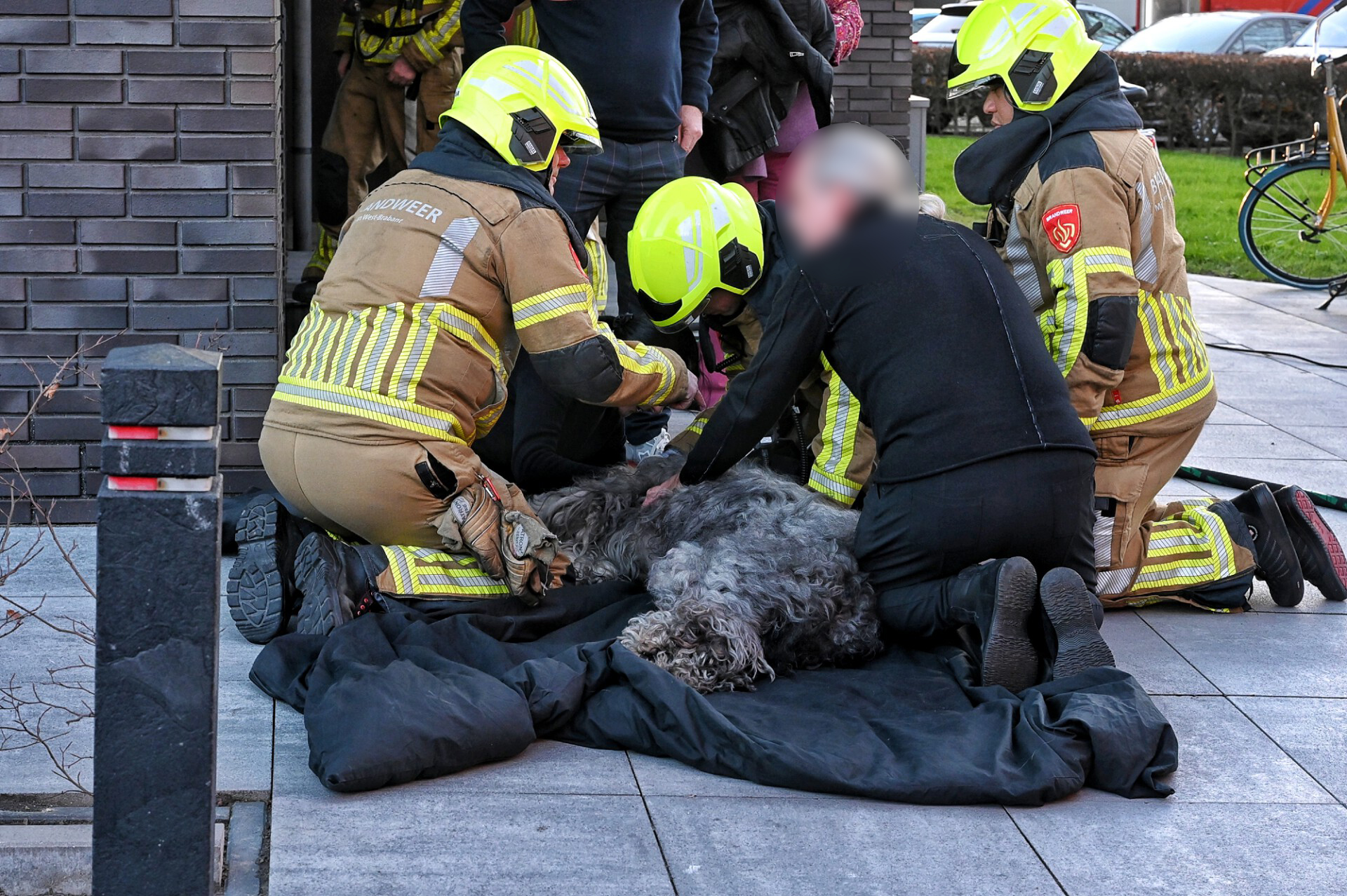 Heldendaad van de brandweer: redden hond uit brandende flatwoning