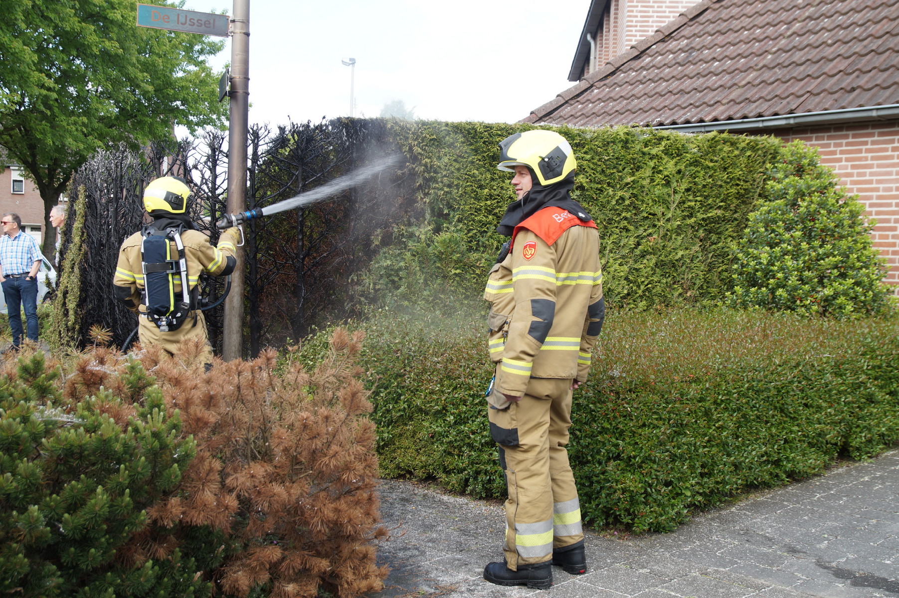 Brandweer blust brandende coniferenhaag