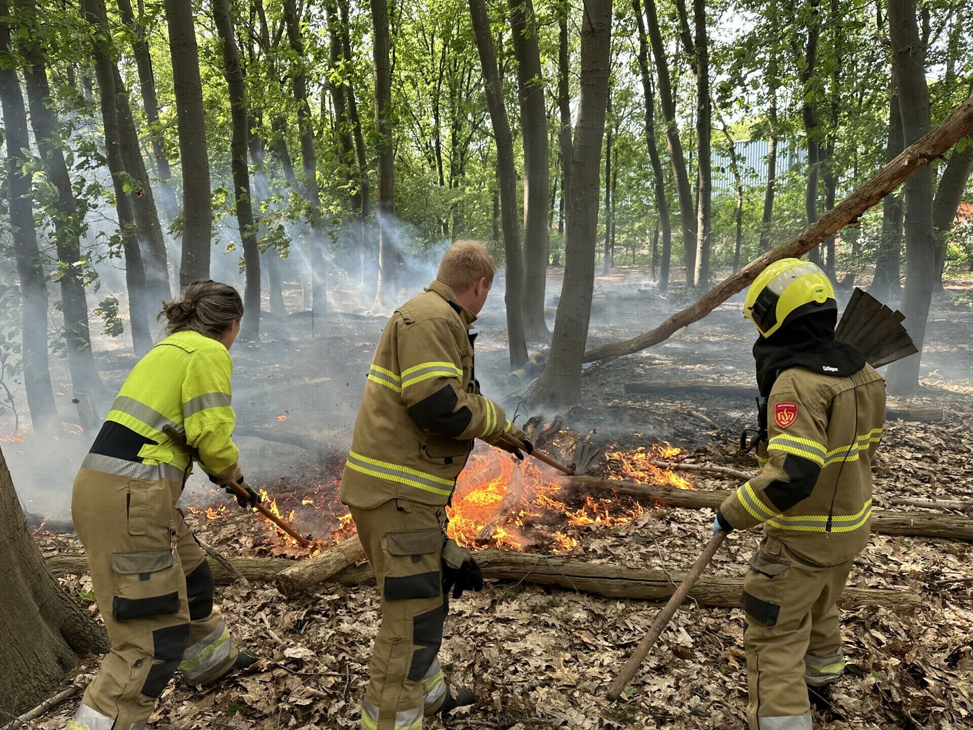 UDPATE: Verdachte aangehouden na bosbrand