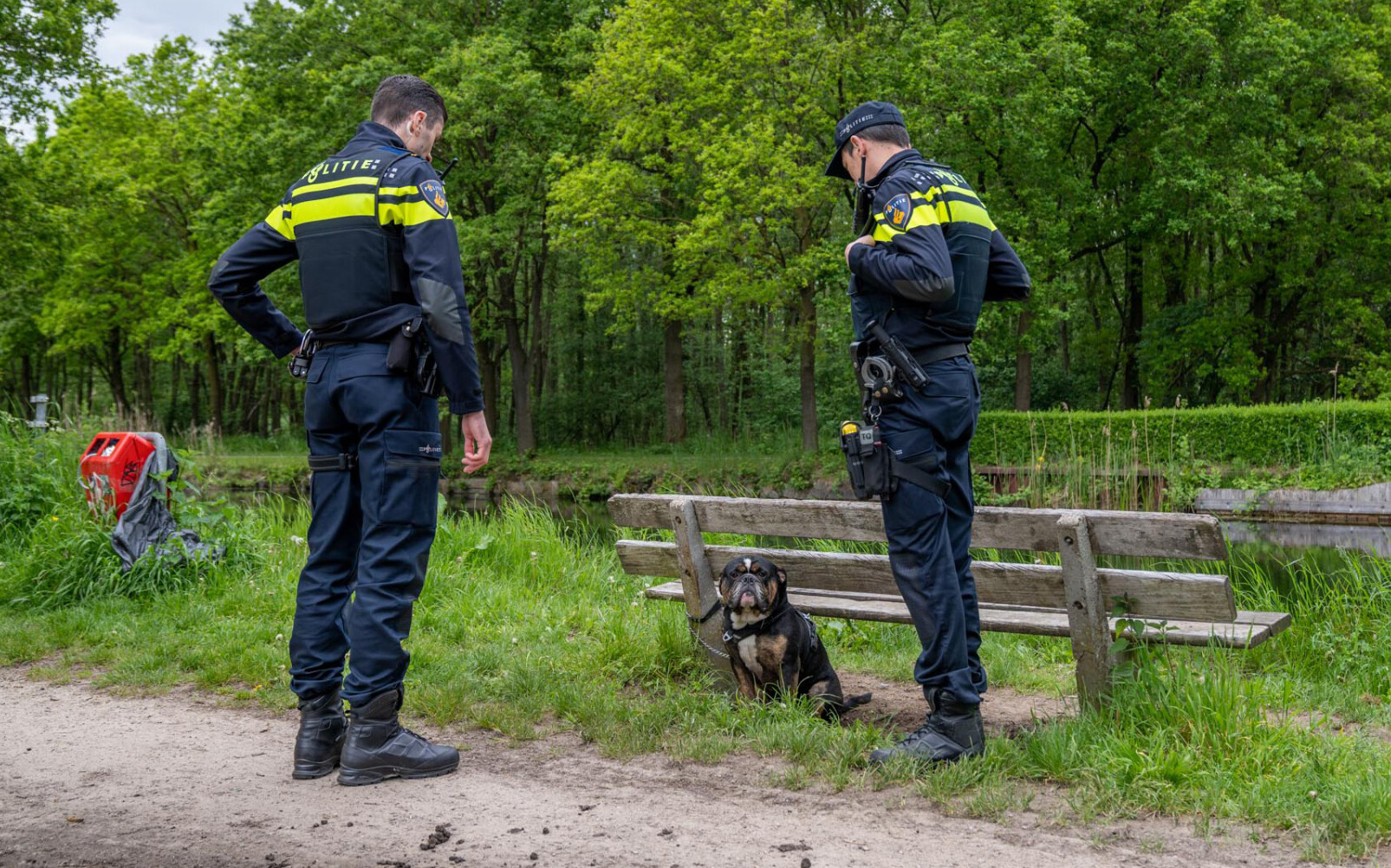 Vrouw gaat het water in om hond te redden