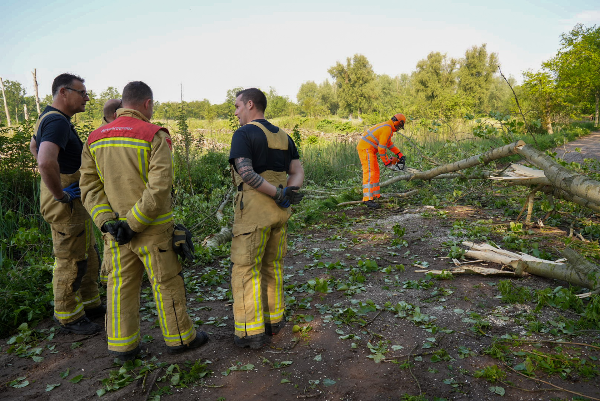 Tak breekt van boom en belandt op weg