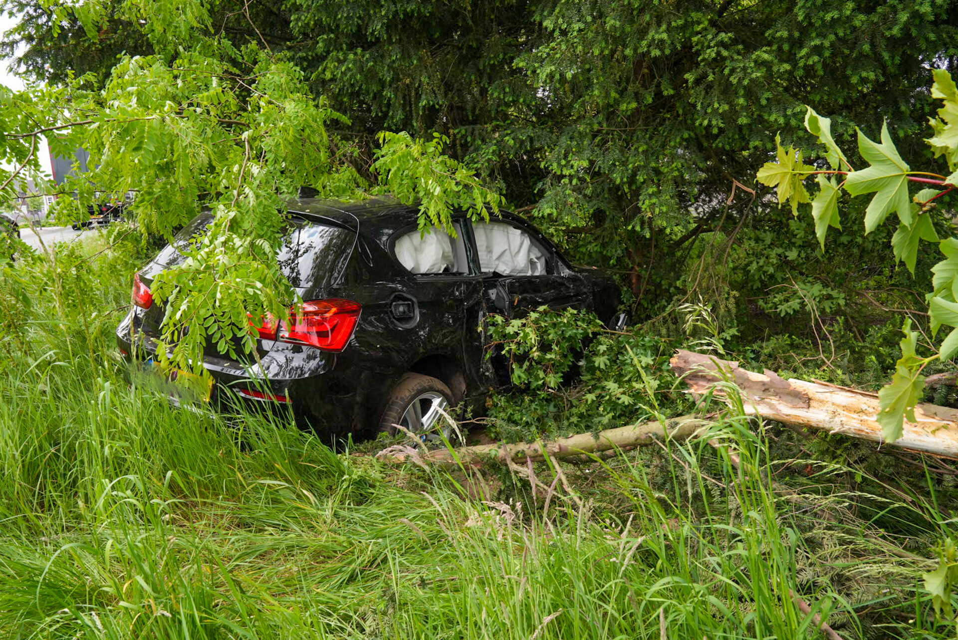 Man rijdt boom uit de grond en komt tegen andere tot stilstand