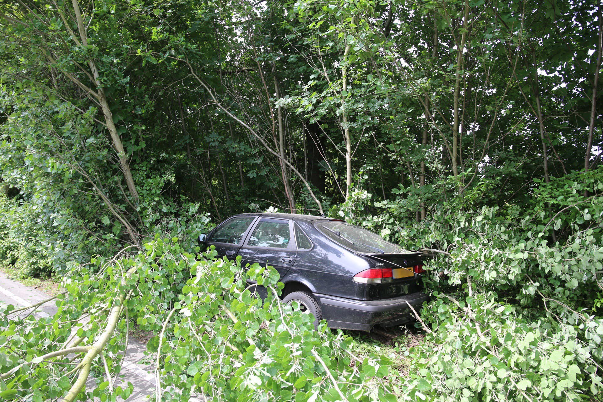 Automobiliste belandt met auto in de bosschage