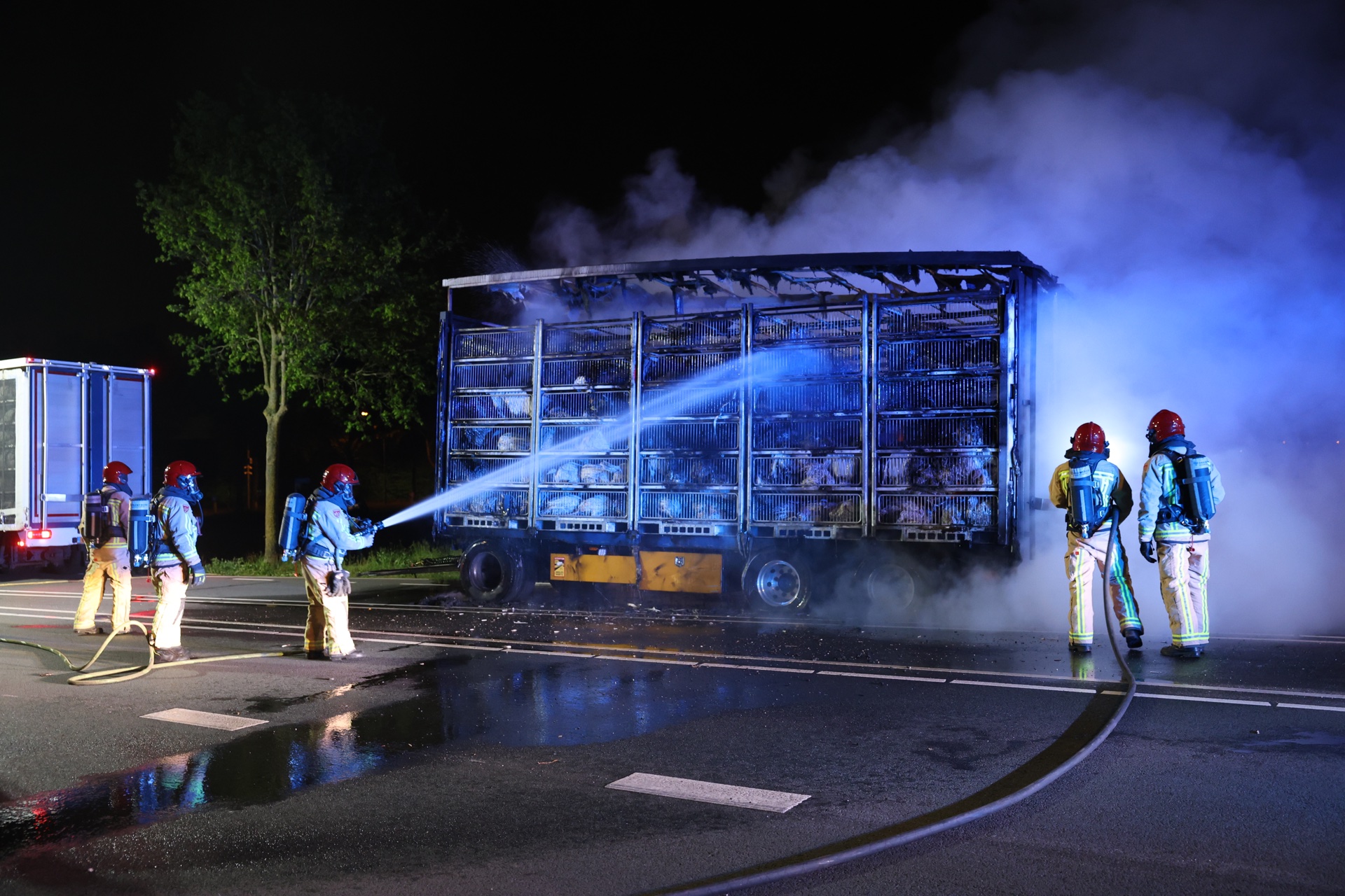 Kalkoenen komen om het leven bij brand in trailer