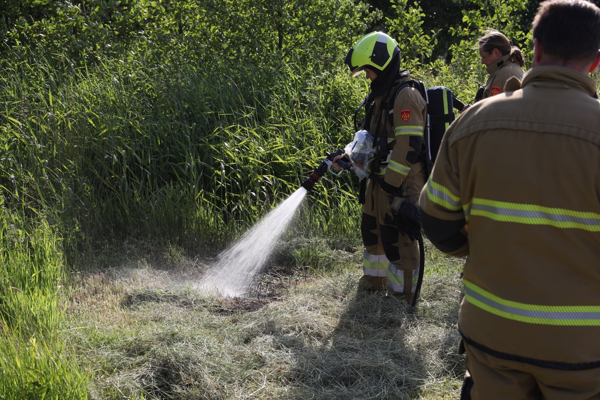 Klein smeulbrandje in weiland snel geblust