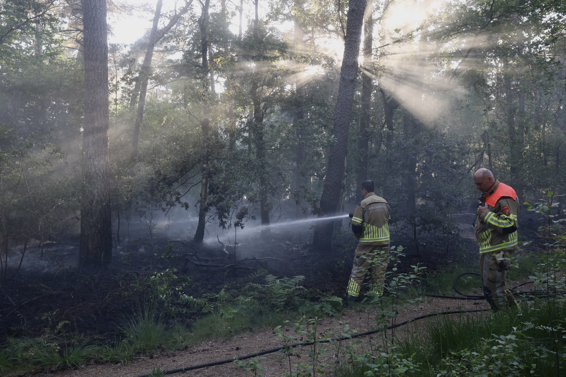 Weer Bosbrand Bij Oisterwijk, Brandstichter Actief? - 112Brabant