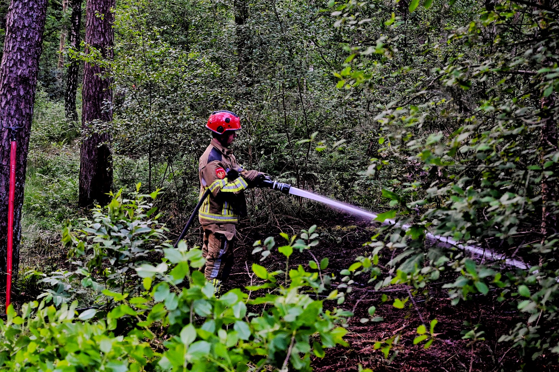 FOTO UPDATE: Grote Bosbrand In Oisterwijk Onder Controle - 112Brabant