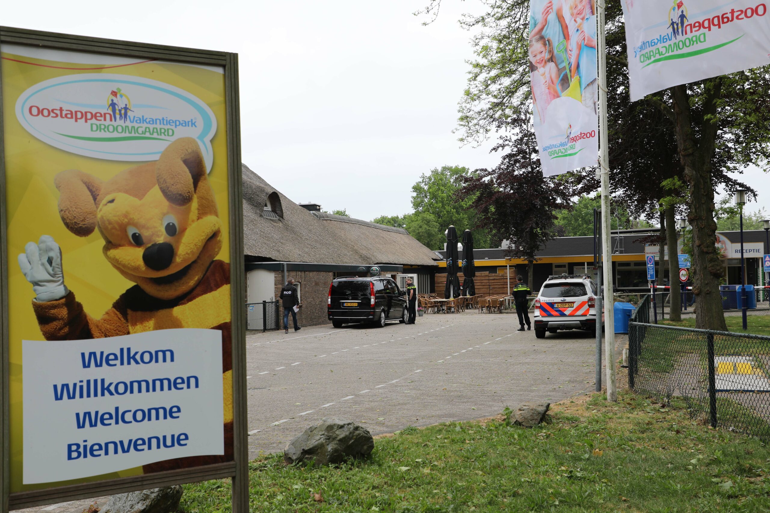 OM vervolgt SBS-ster Peter Gillis voor belastingfraude