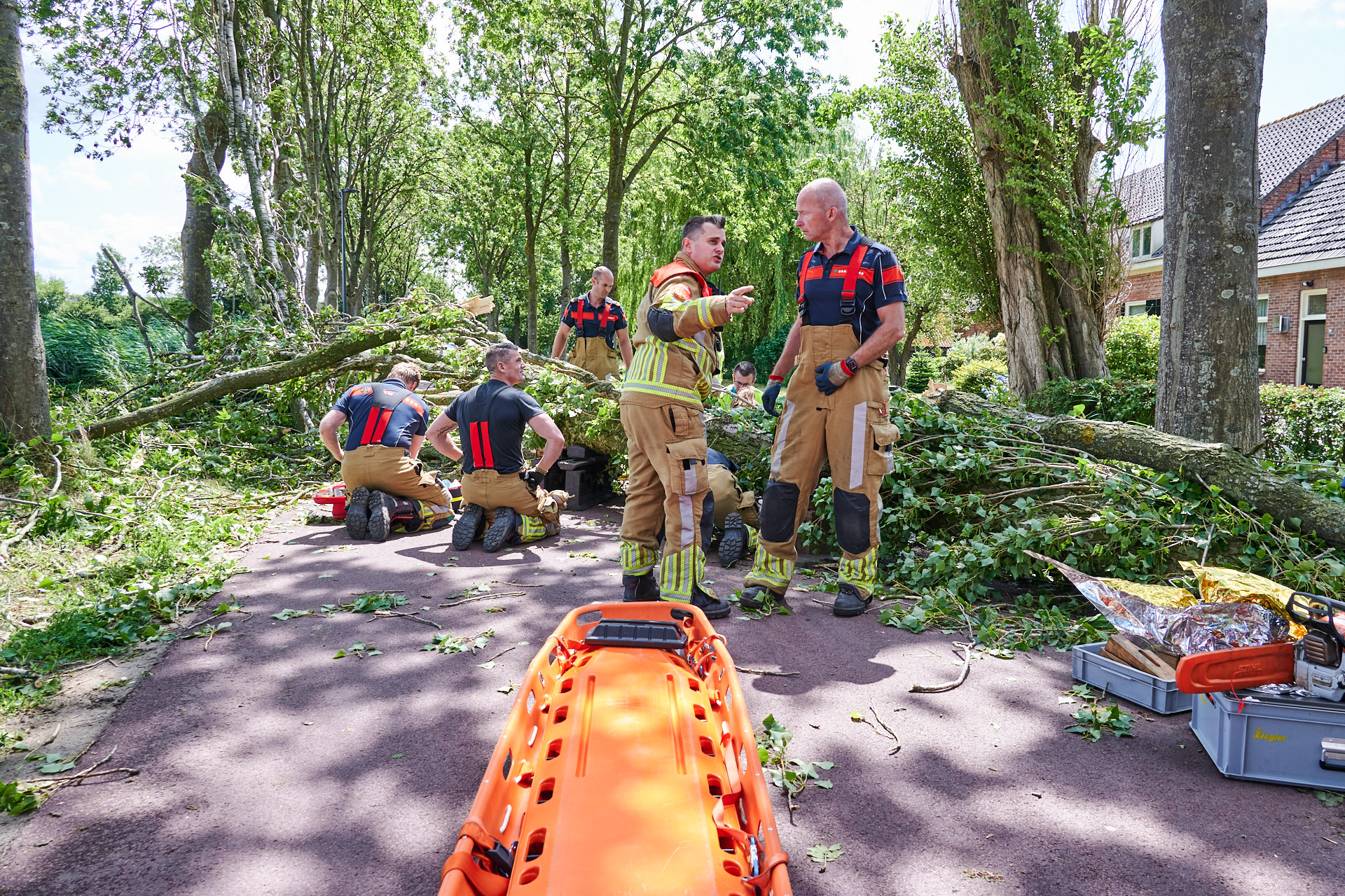 Boom valt om en komt op vrouw terecht