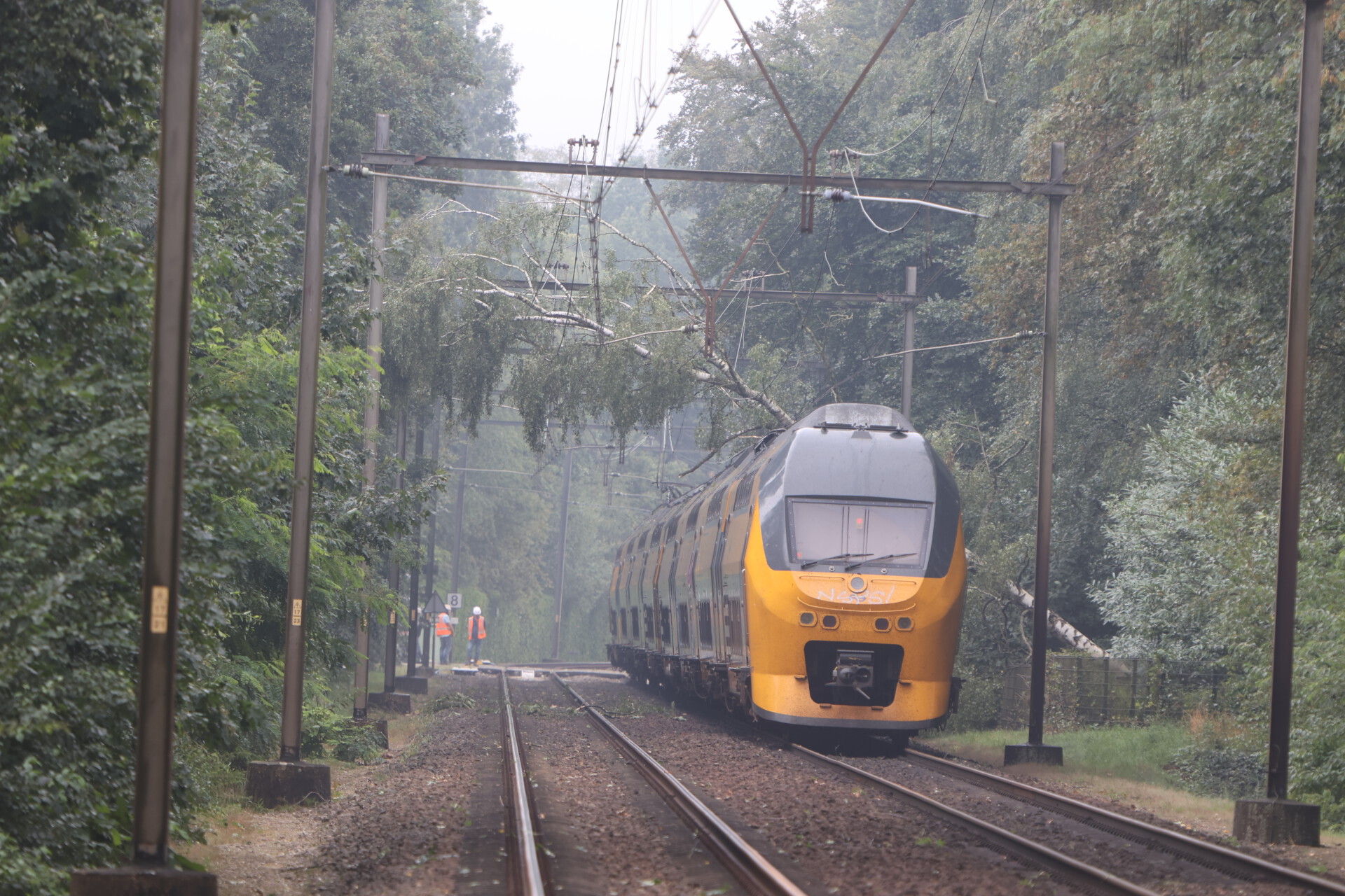 Boom valt op trein, tot 18.00 uur geen treinen