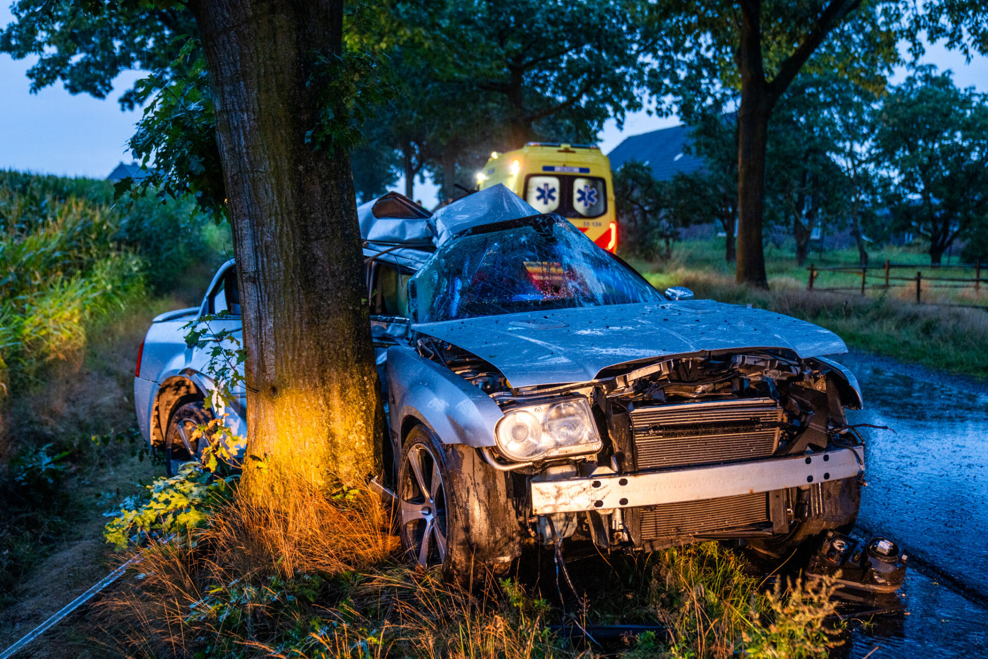 Automobilist Overleden Na Botsing Tegen Boom - 112Brabant