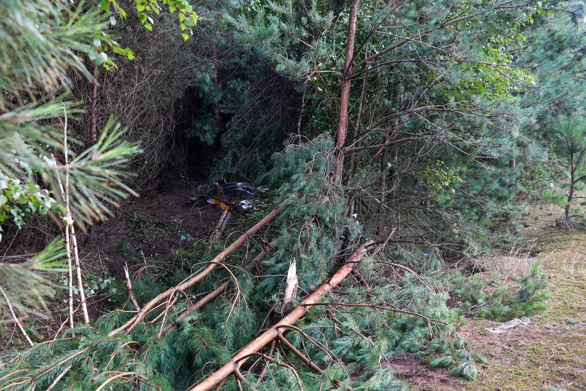 Drie jongemannen overleven crash: auto belandt in de bossen