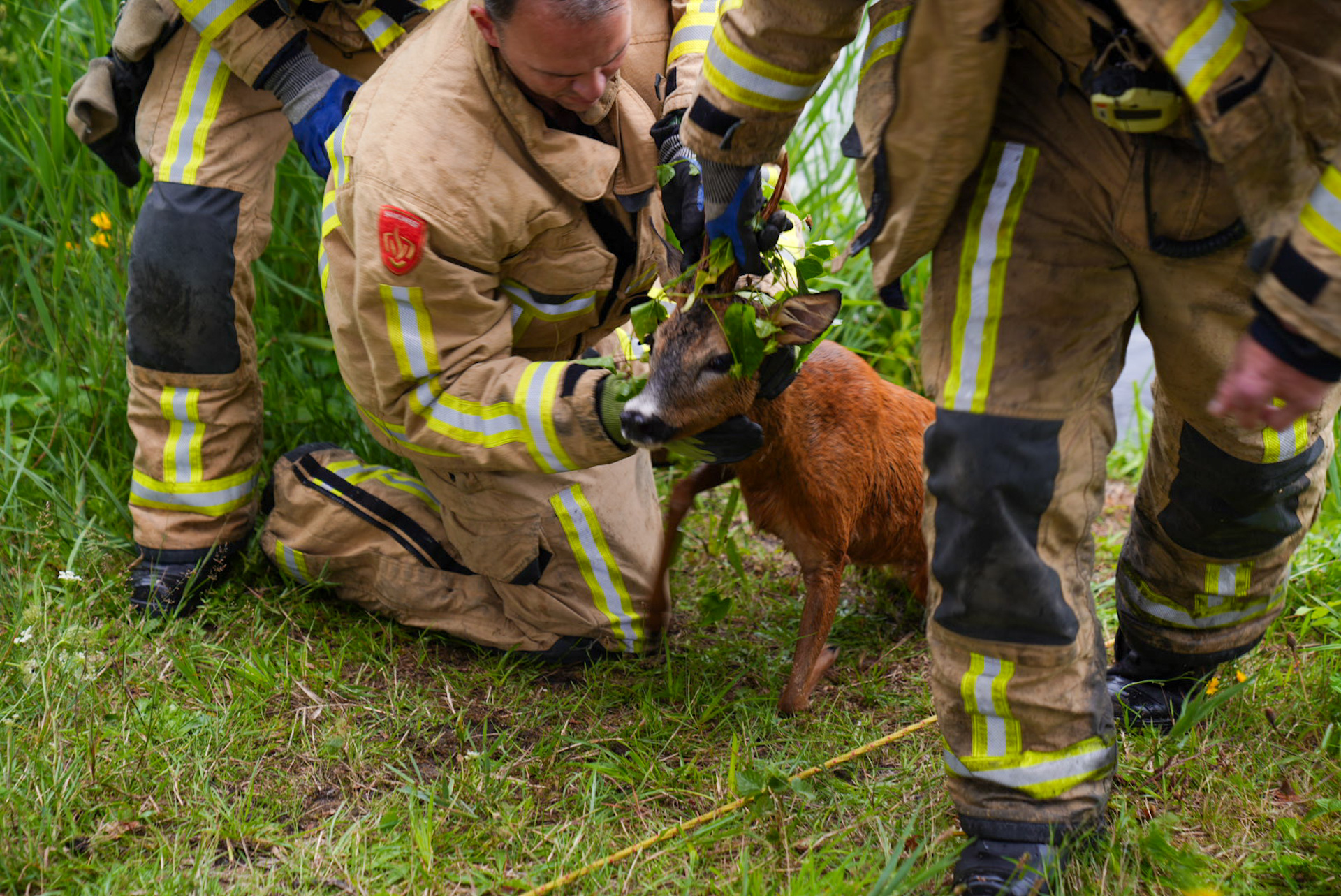 Brandweer redt opnieuw ree uit water