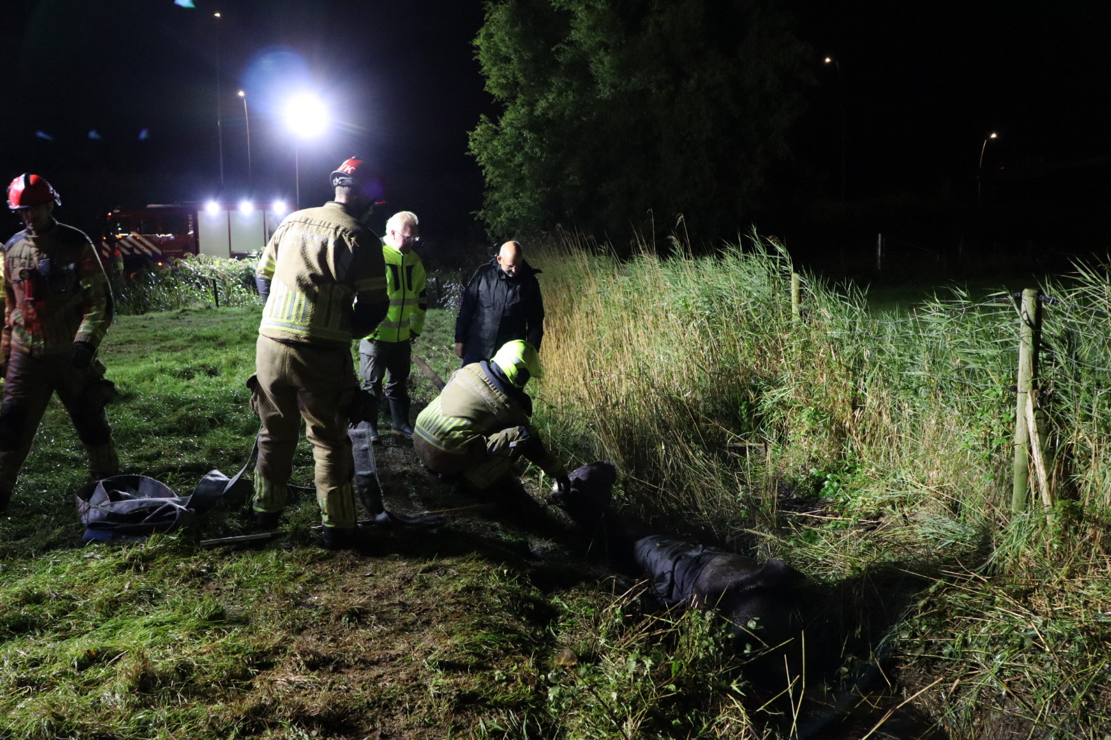 Gered Paard Belandt Opnieuw In Sloot - 112Brabant