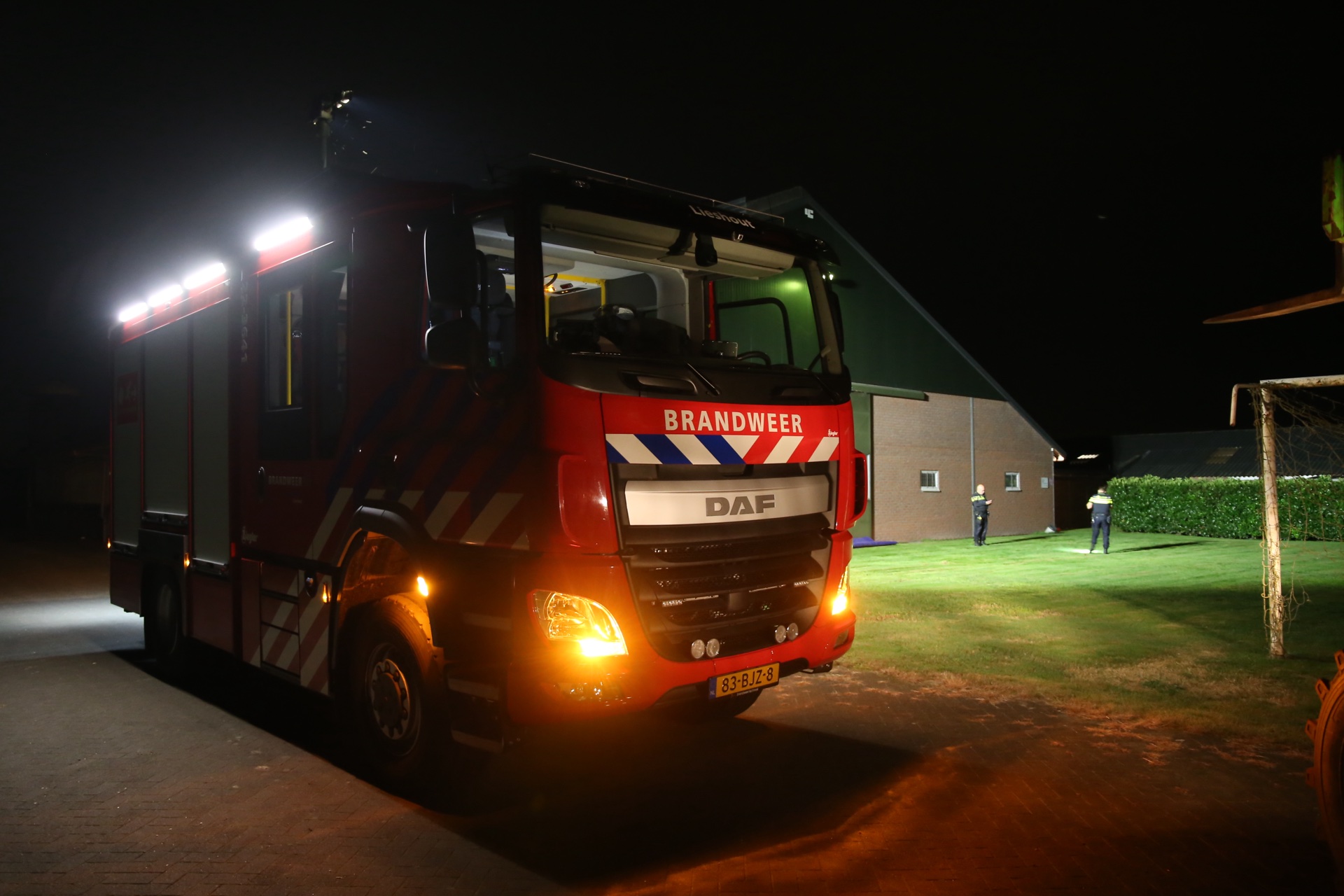 Koe belandt in zwembad bij boerderij