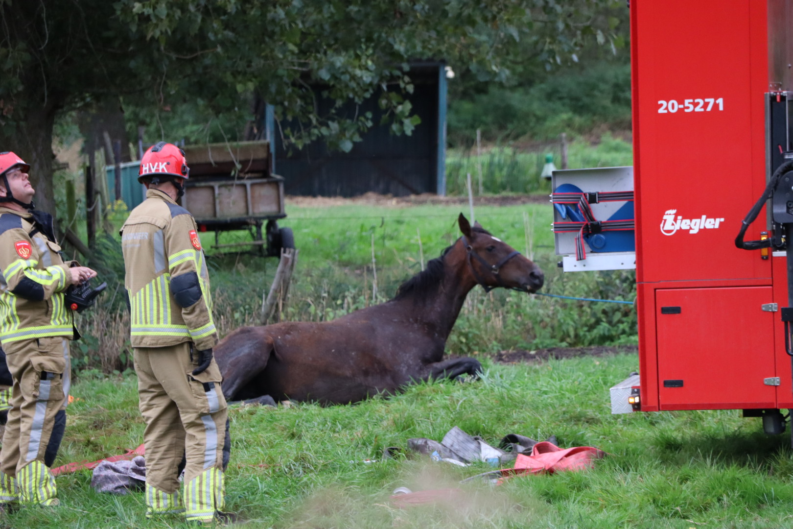 Brandweer Is Uur Bezig Om Paard Uit Sloot Te Redden - 112Brabant