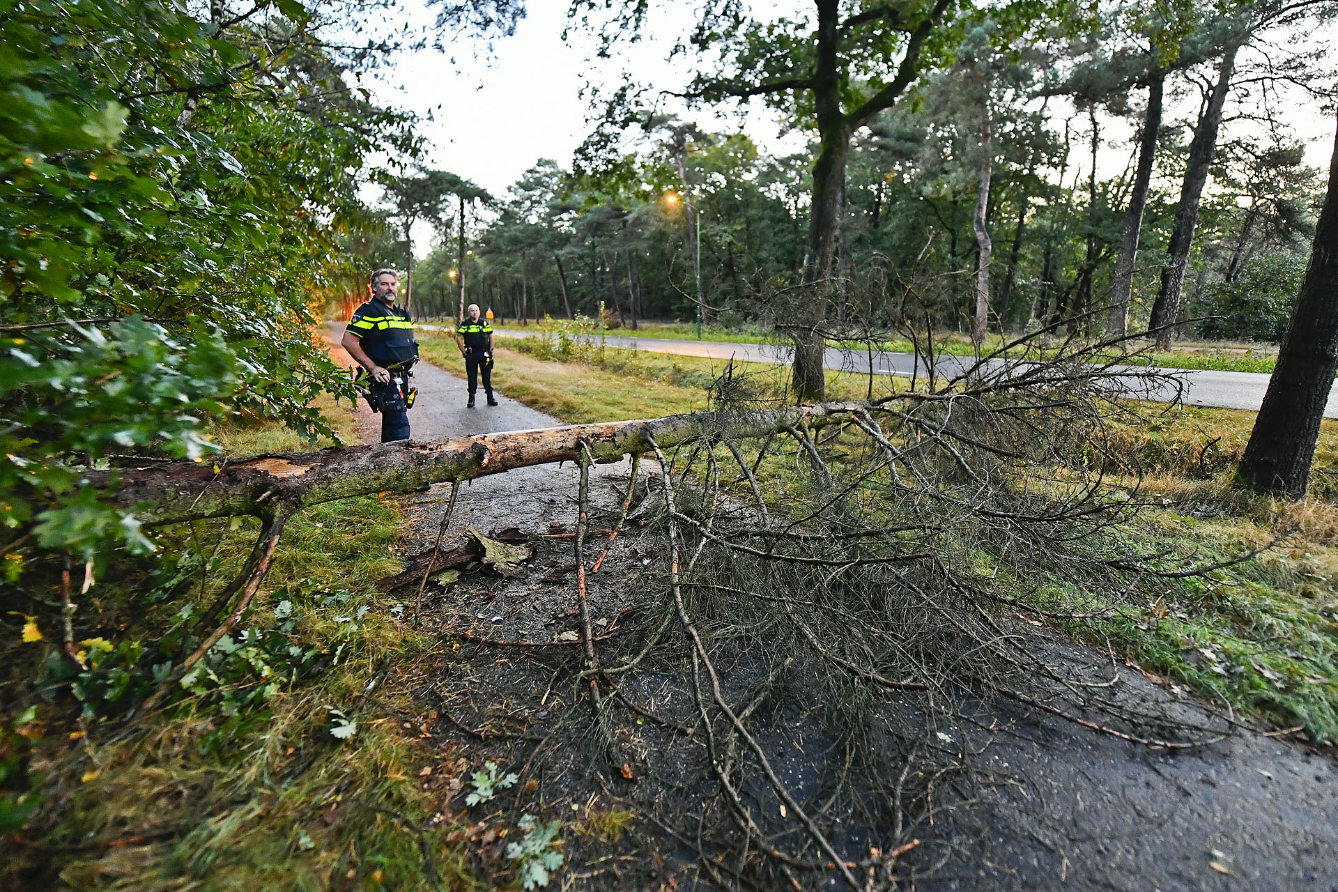 Scooterrijder botst tegen omgevallen boom