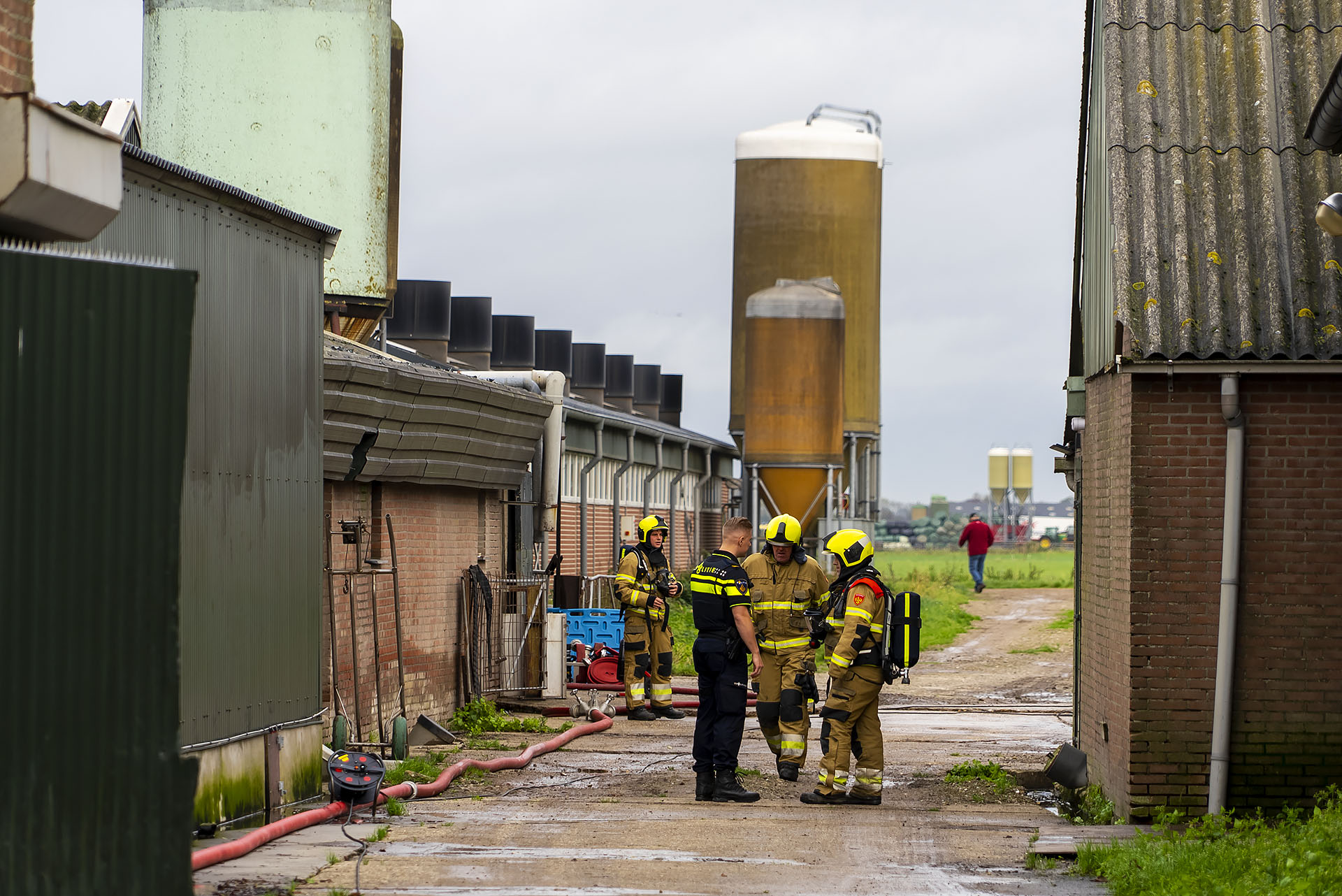 Dieren gewond na brand in boerenschuur