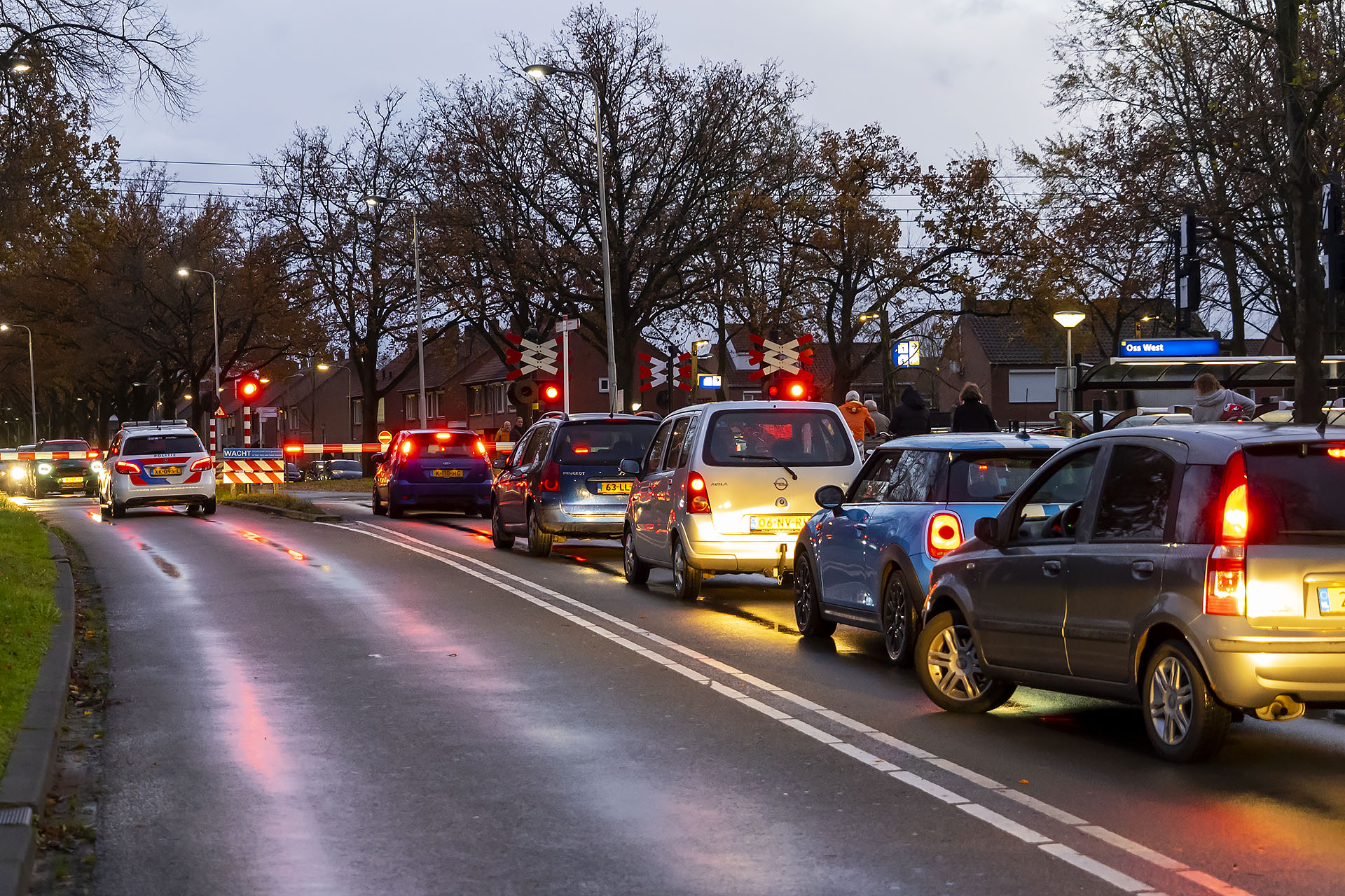 Trein botst tegen boom op spoor, verkeerschaos tot gevolg