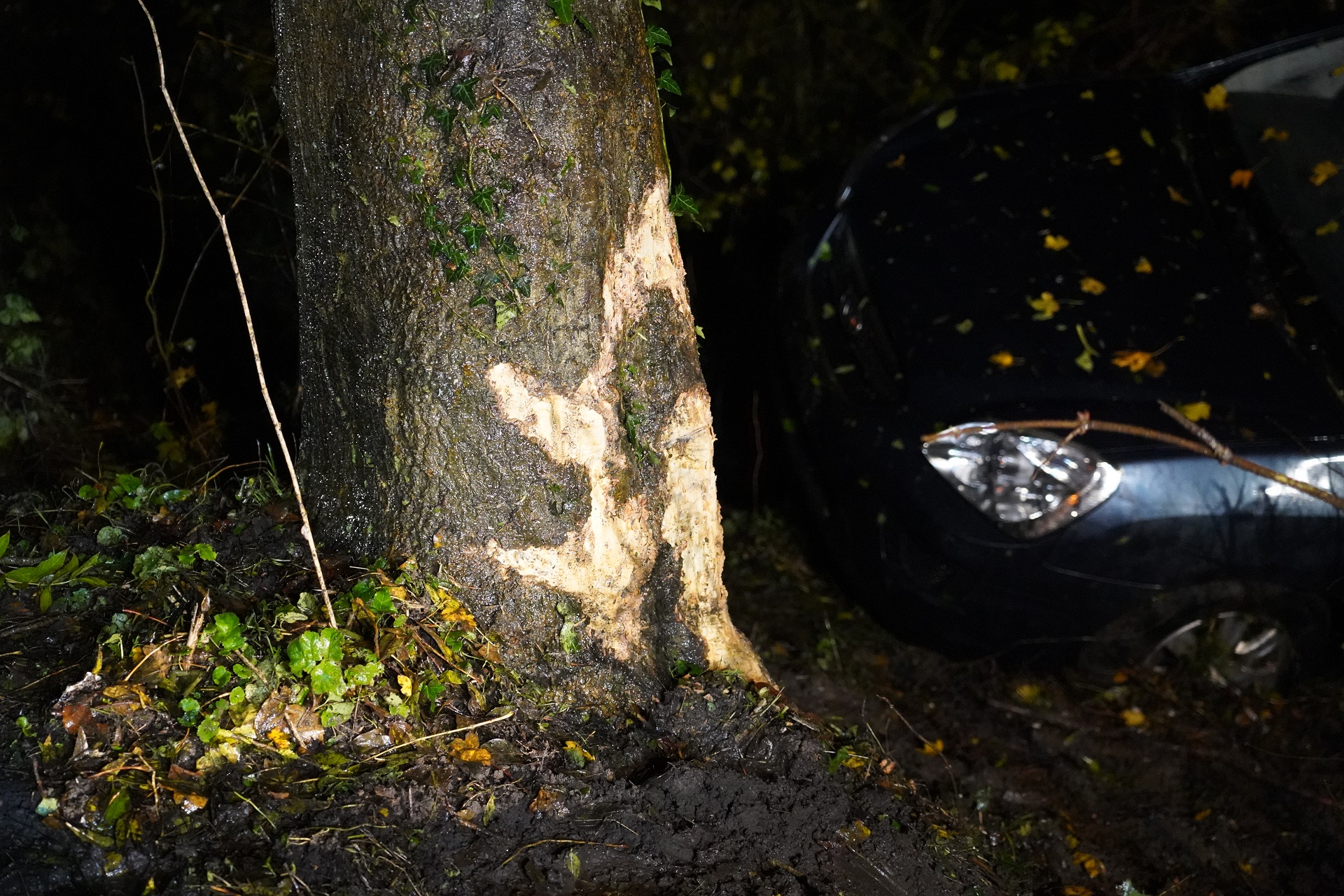 FDF: hel breekt los als Adema versneld strengere mestregels wil - 112 Nederland