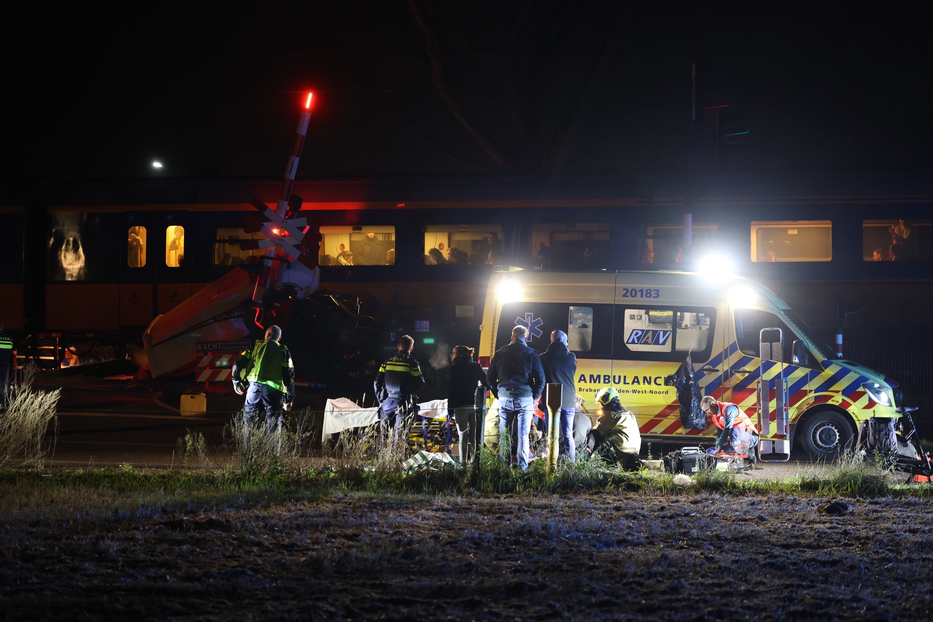 Paard dood en automobilist zwaargewond na botsing met trein