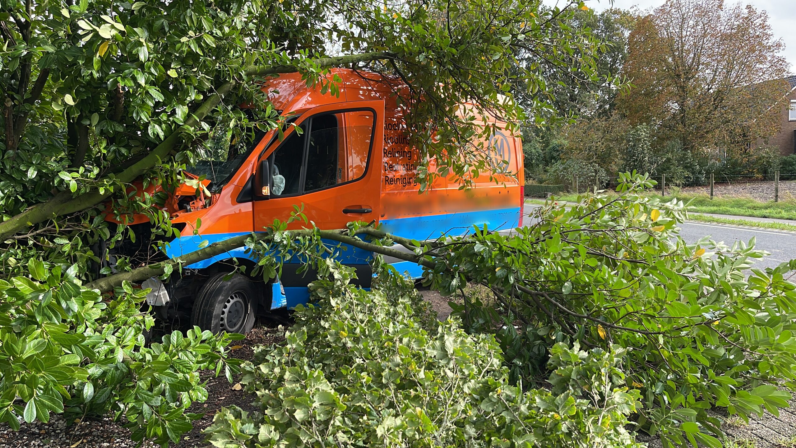Bestuurder rijdt twee bomen uit de grond