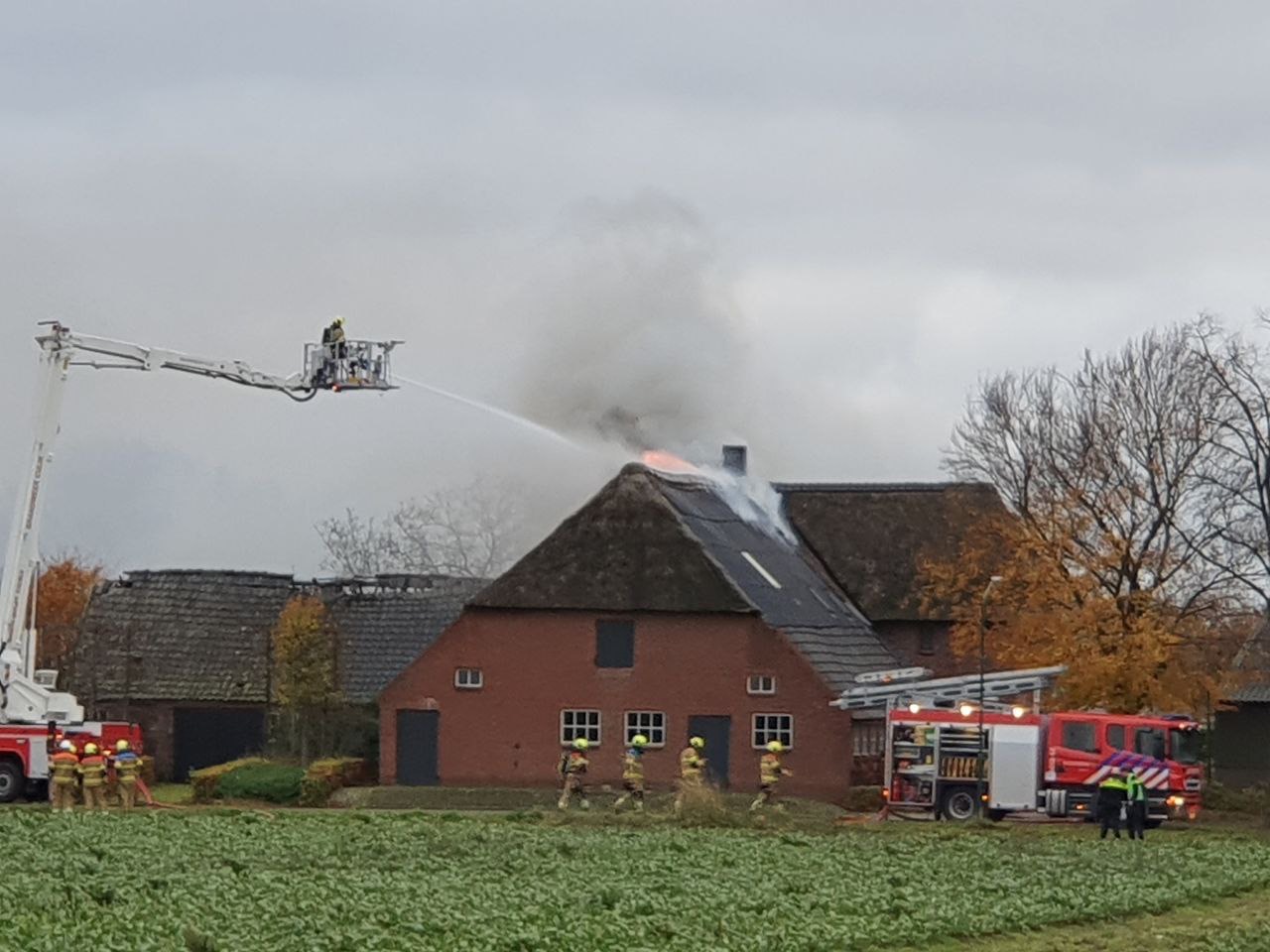 Grote brand in boerderij met rieten kap
