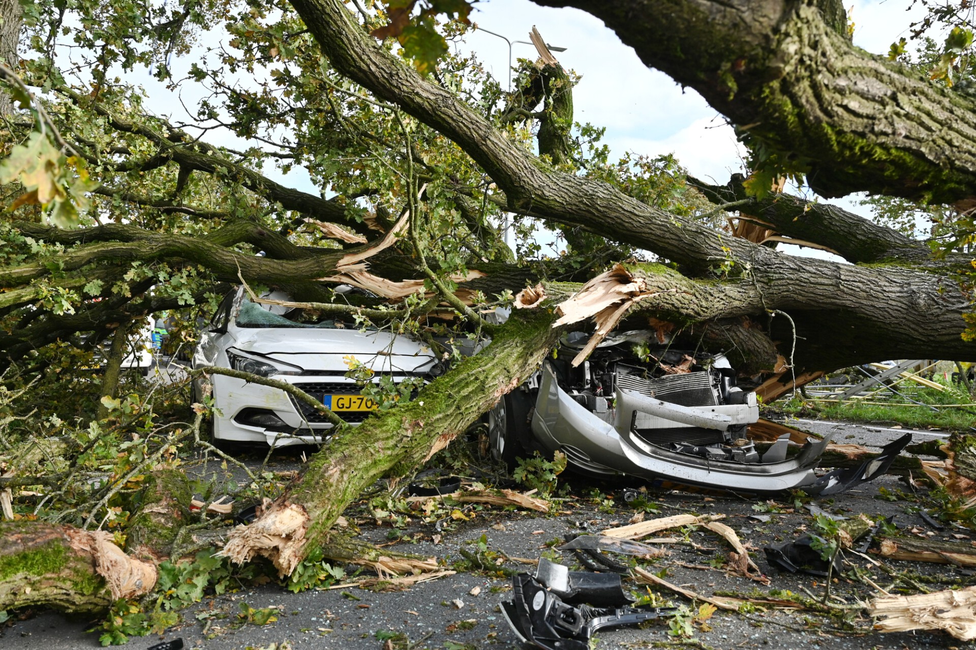 Enorme ravage: boom valt op vier rijdende auto’s, meerdere gewonde