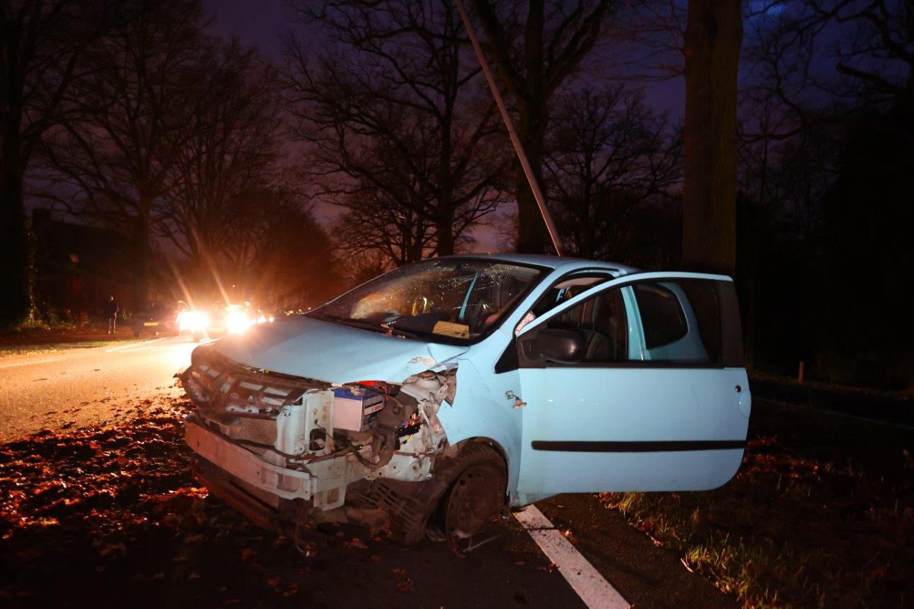 Hondje komt met schrik vrij nadat automobiliste lantaarnpaal ramt