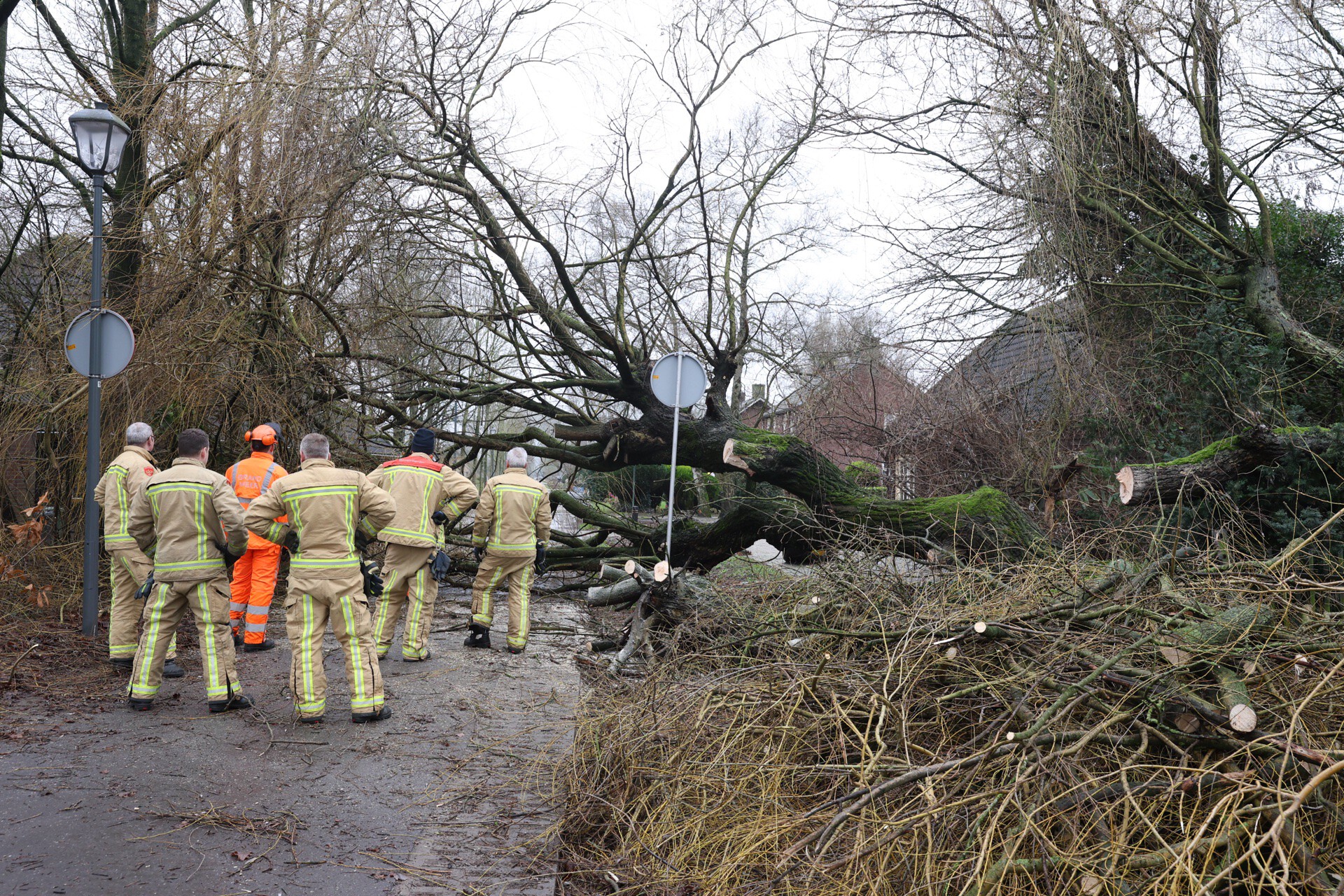 Boom blokkeert weg bij dierentuin Best Zoo, ook hekwerk dierenverblijf beschadigd