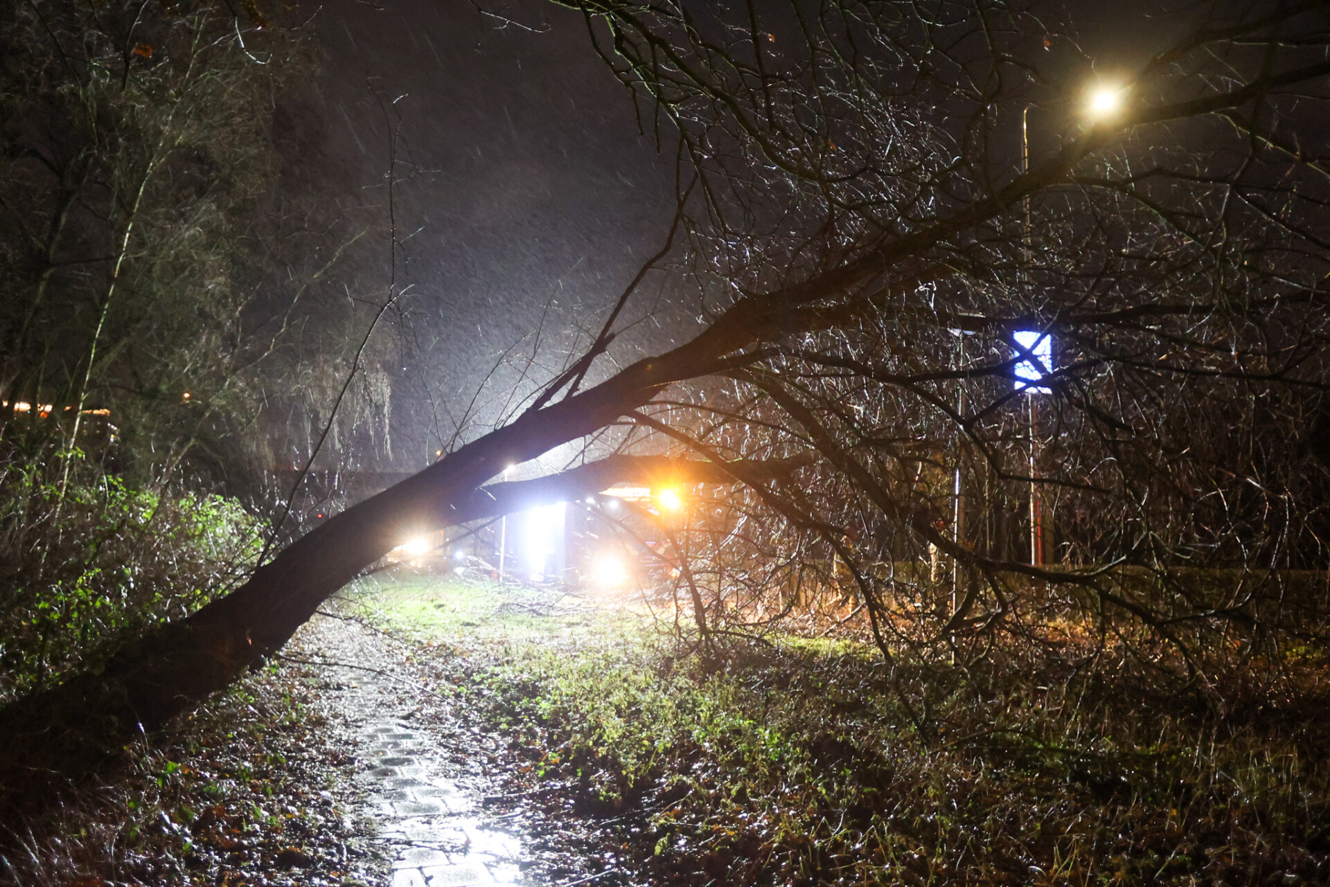 Boom waait om en belandt om fietspad