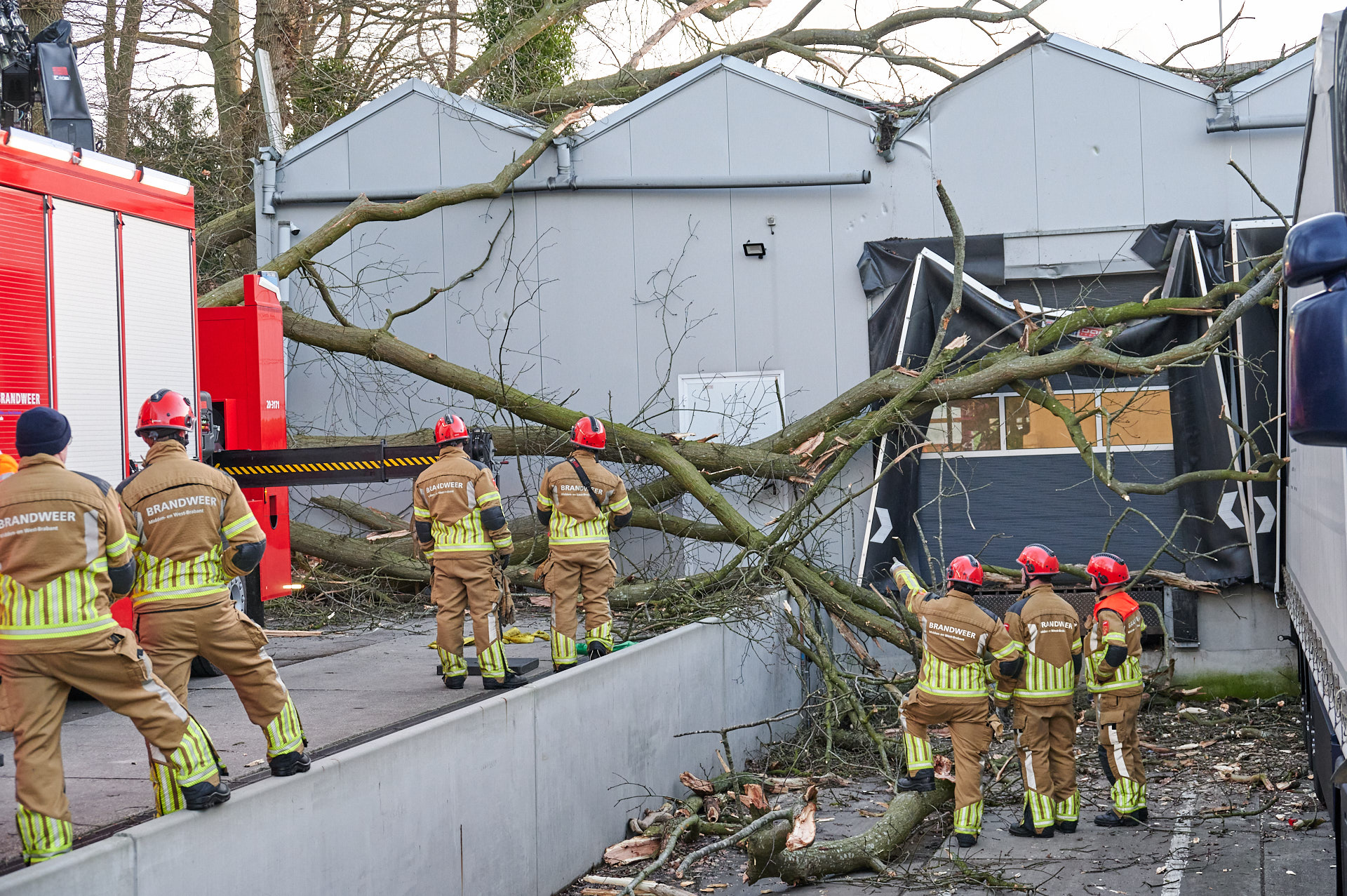 Boom valt op bedrijfspand en vrachtwagen