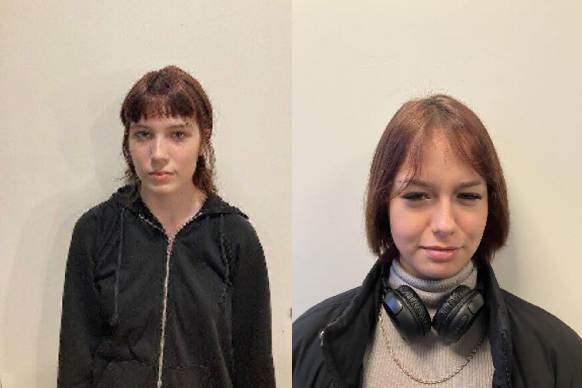 Vermissing van twee meisjes (14 en 16) in Ossendrecht: Mogelijk gepland